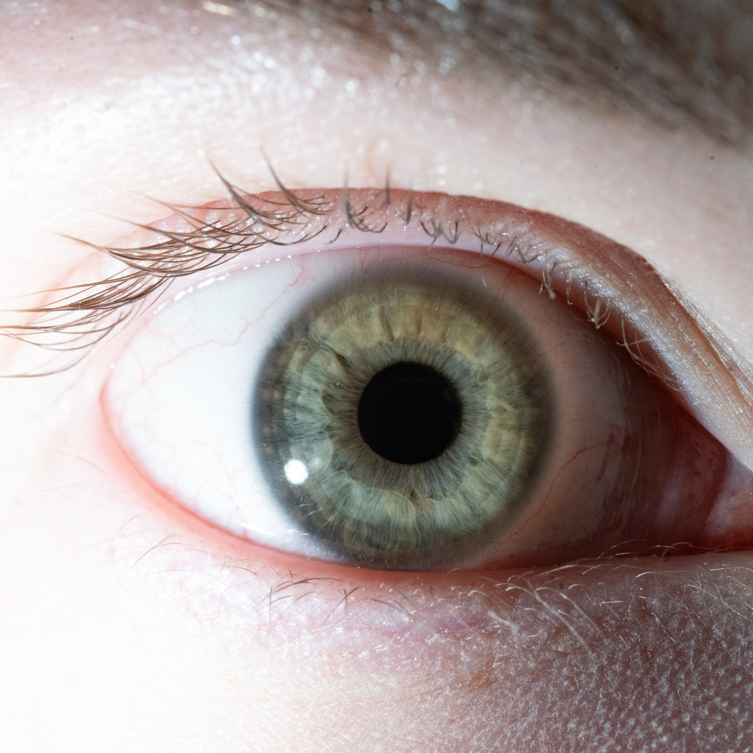 Портфолио — Галерея глаз  Ojo Art. Фотостудия макросъёмки радужки глаз в Севастополе «Ojo art»