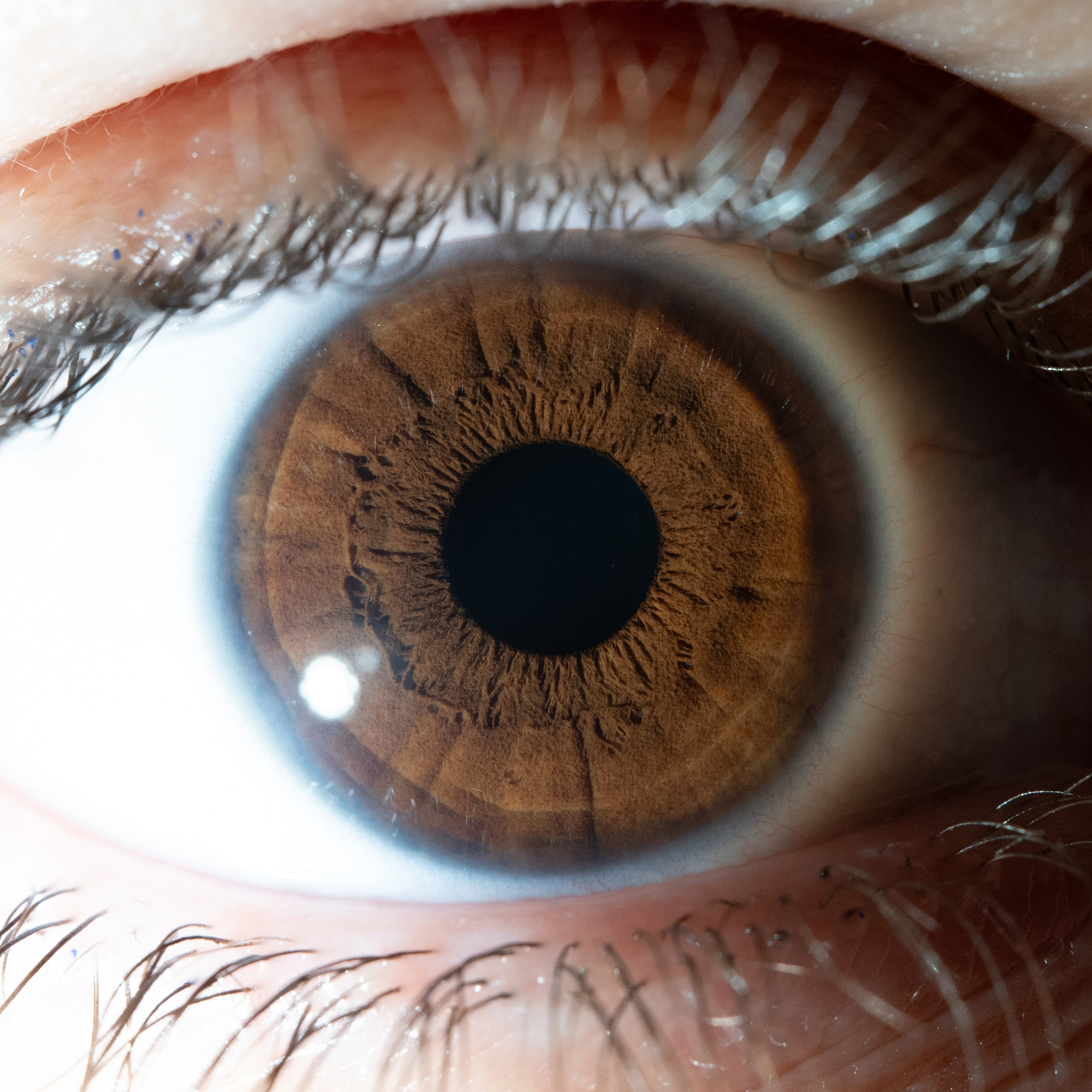 Фотография макро радужки глаза, Севастополь, Ojo Art , фото студия радужки глаза в Крыму, Севастополь 