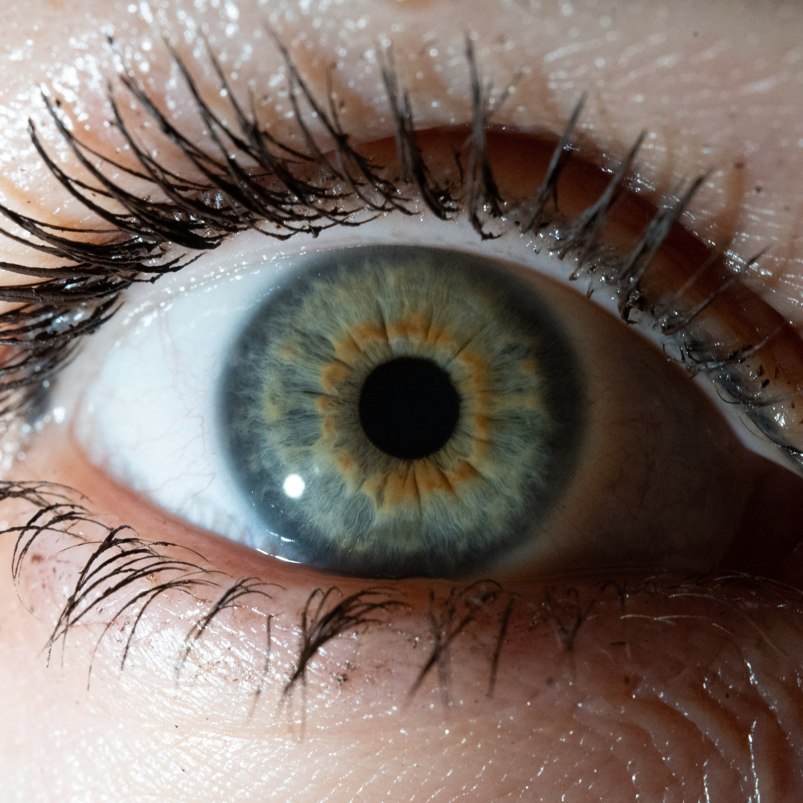 Портфолио — Галерея глаз  Ojo Art. Фотостудия макросъёмки радужки глаз в Севастополе «Ojo art»