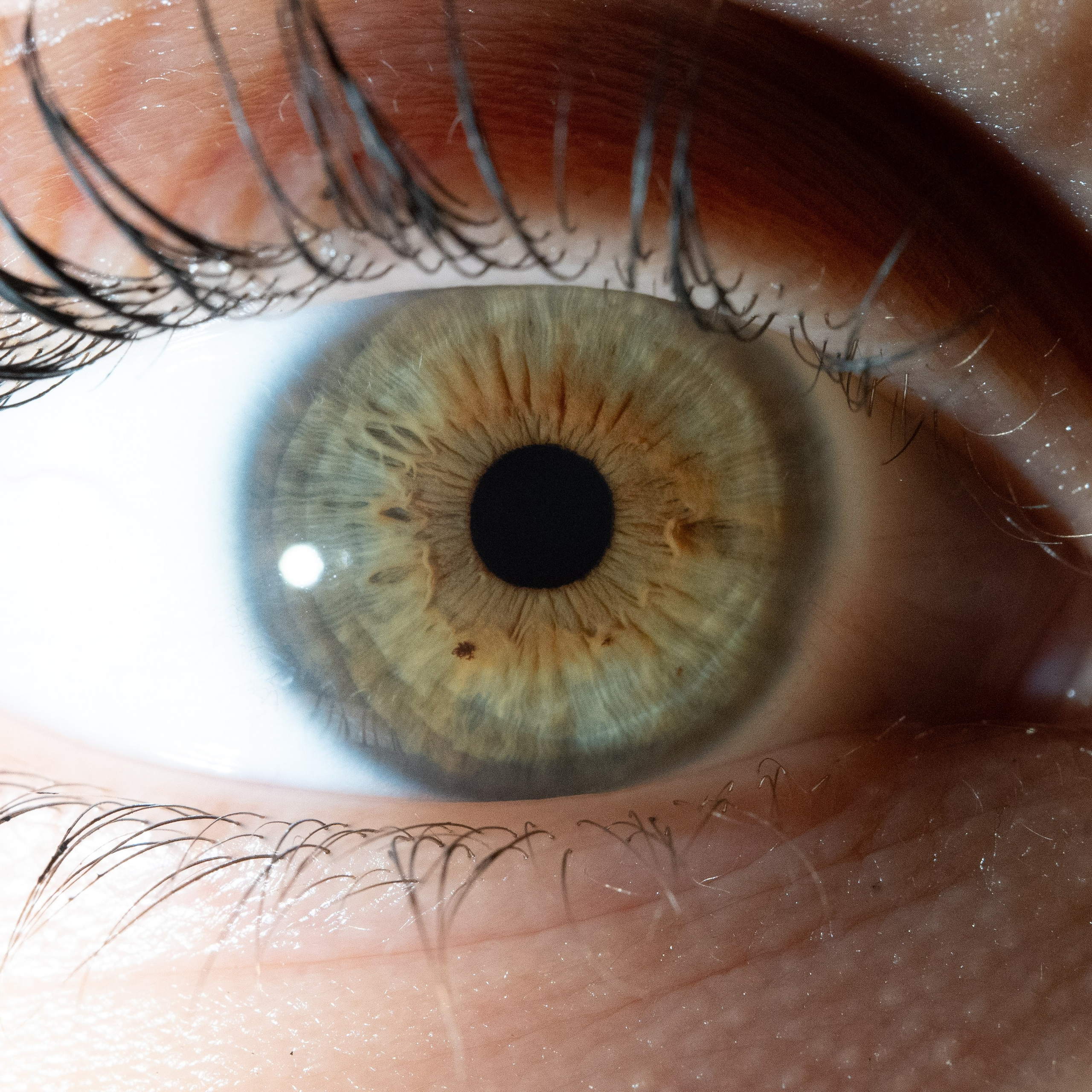 Портфолио — Галерея глаз  Ojo Art. Фотостудия макросъёмки радужки глаз в Севастополе «Ojo art»