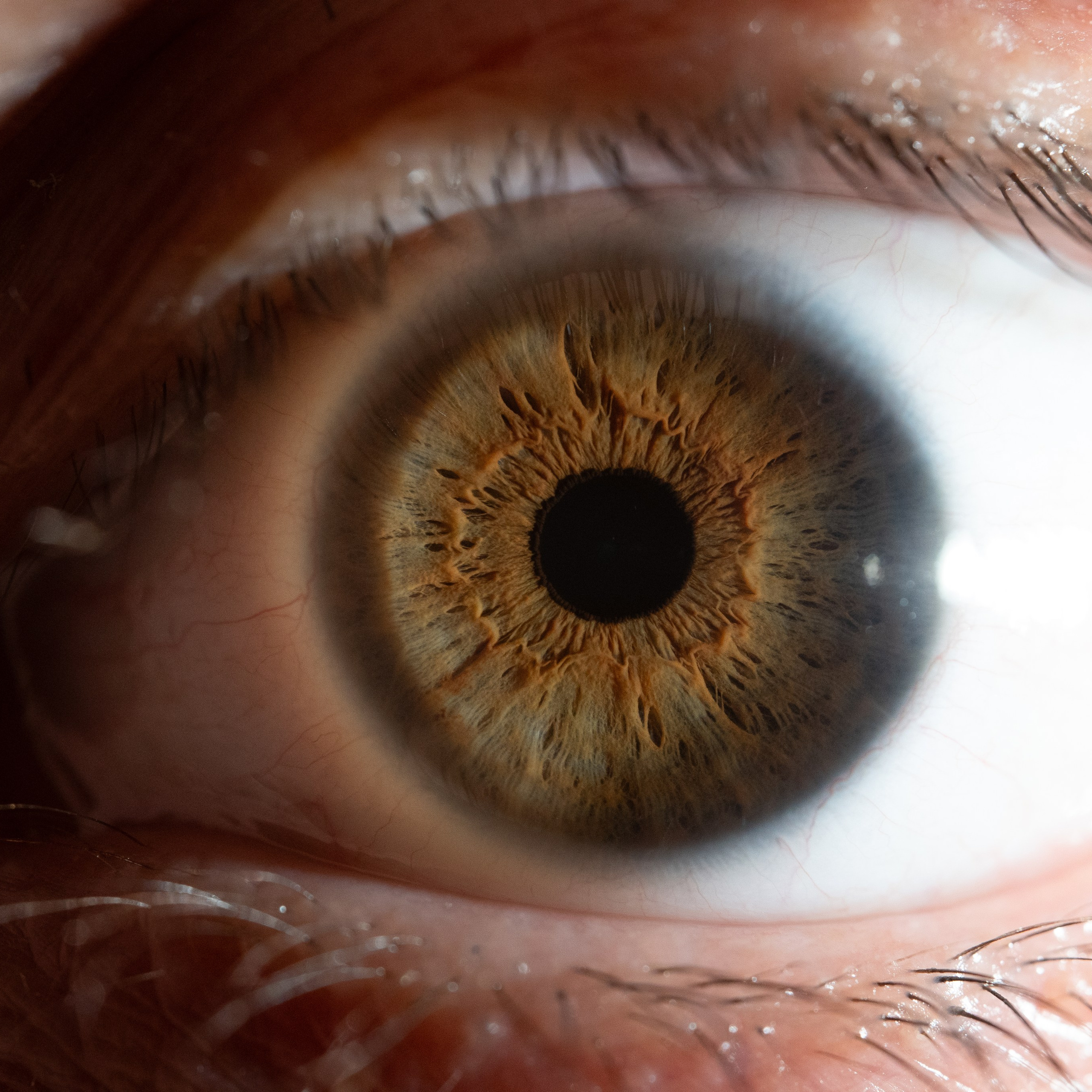 Фотография макро радужки глаза, Севастополь, Ojo Art , фото студия радужки глаза в Крыму, Севастополь 