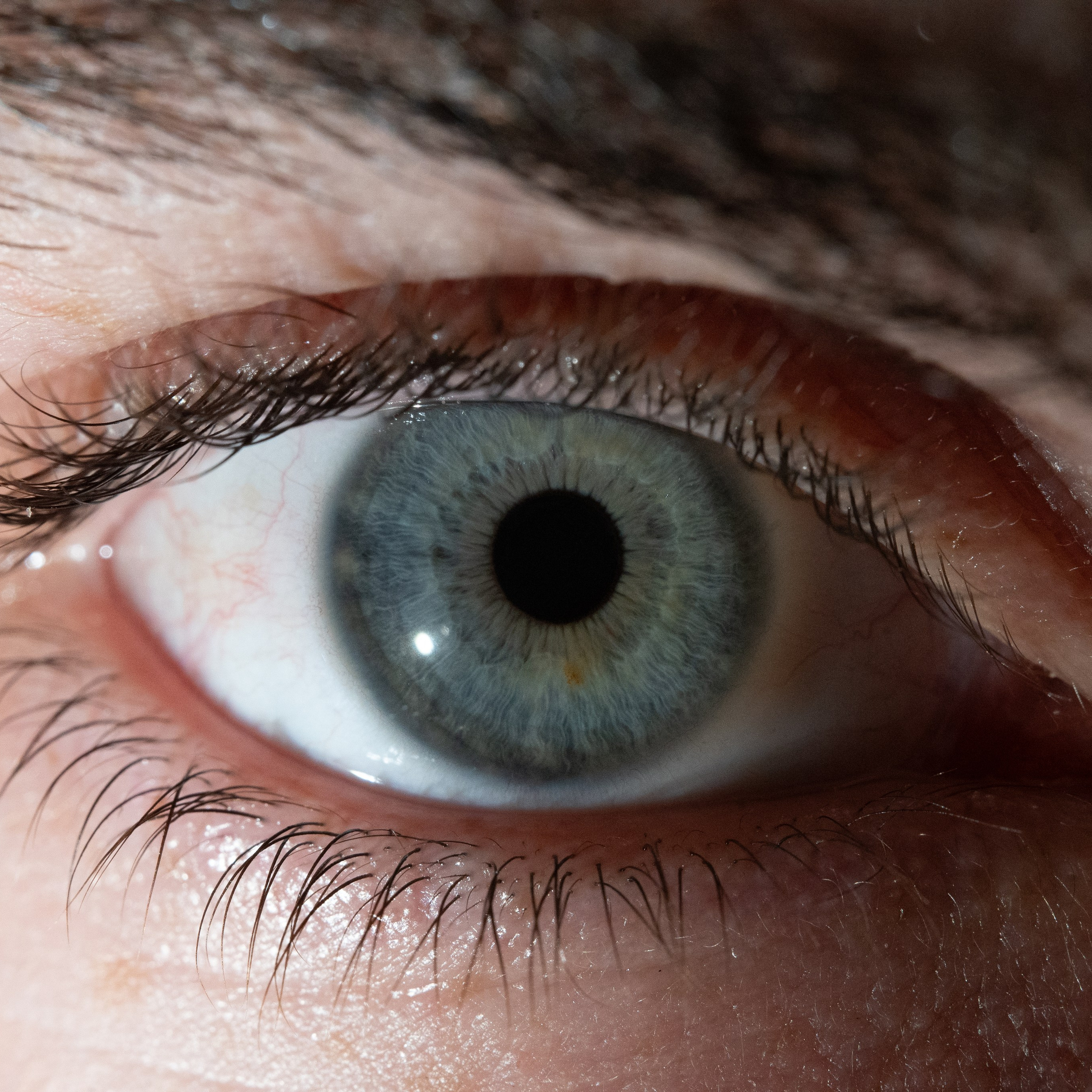 Портфолио — Галерея глаз  Ojo Art. Фотостудия макросъёмки радужки глаз в Севастополе «Ojo art»