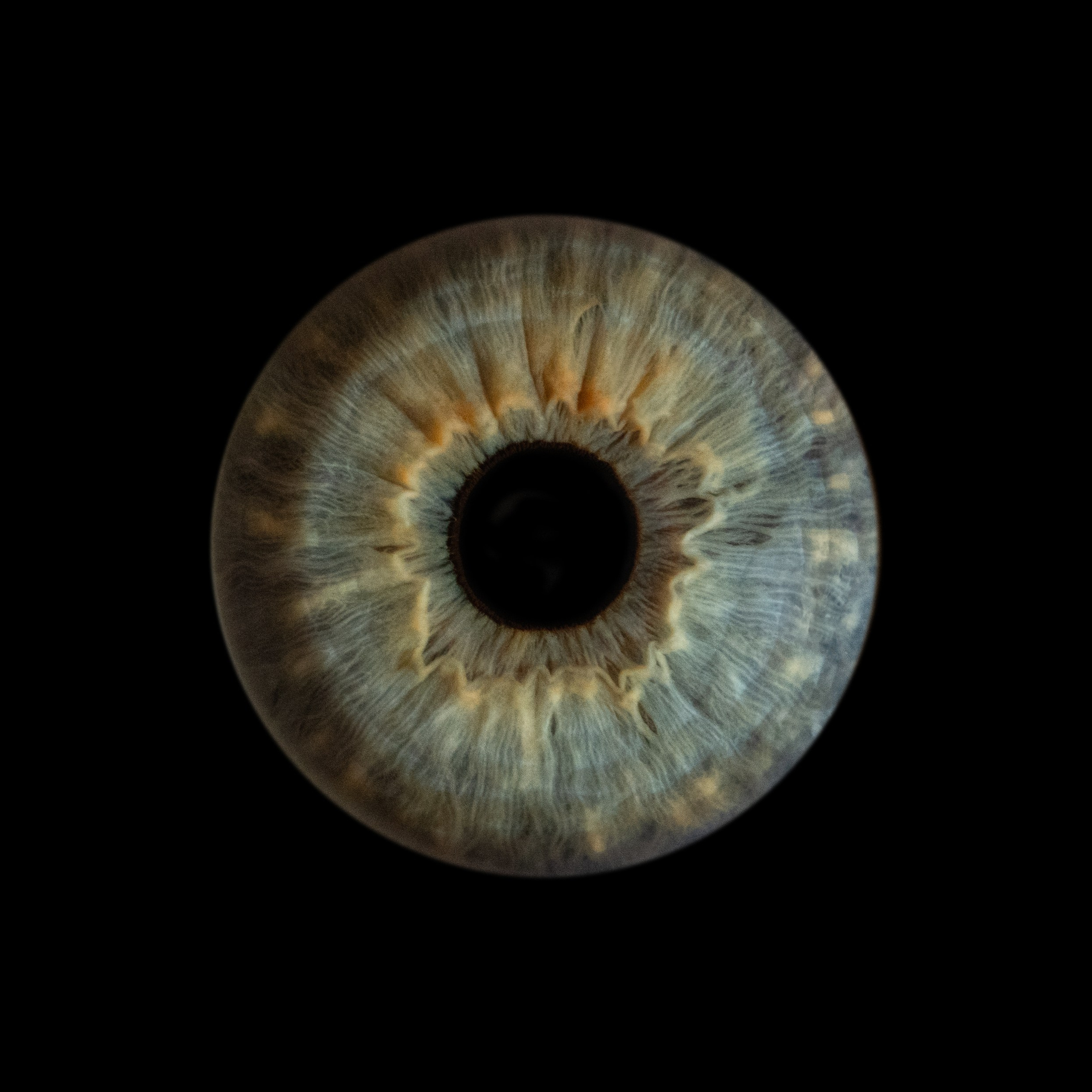 Фото радужки глаза, Севастополь, Ojo Art , фото студия радужки глаза в Крыму.