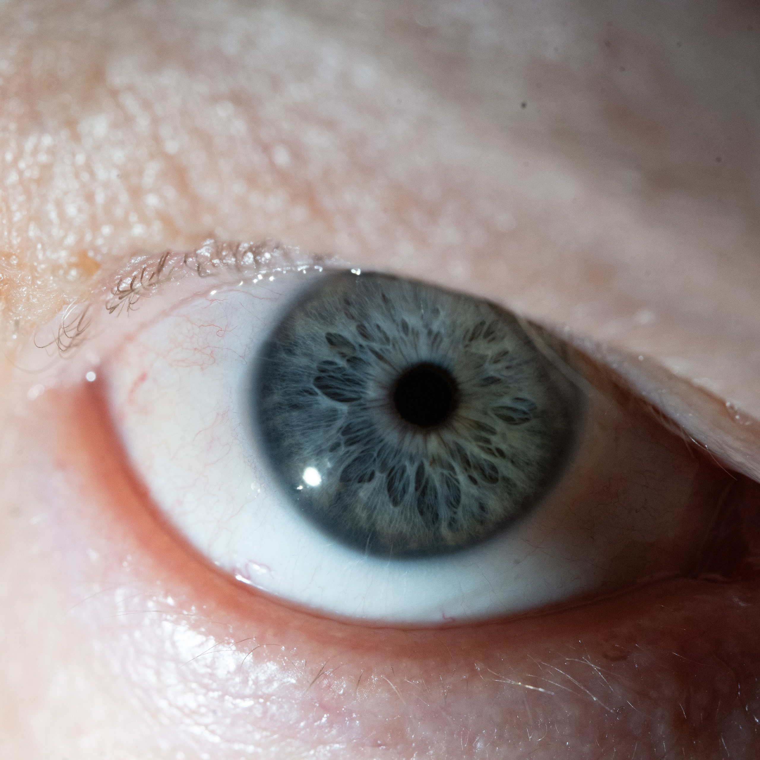 Портфолио — Галерея глаз  Ojo Art. Фотостудия макросъёмки радужки глаз в Севастополе «Ojo art»