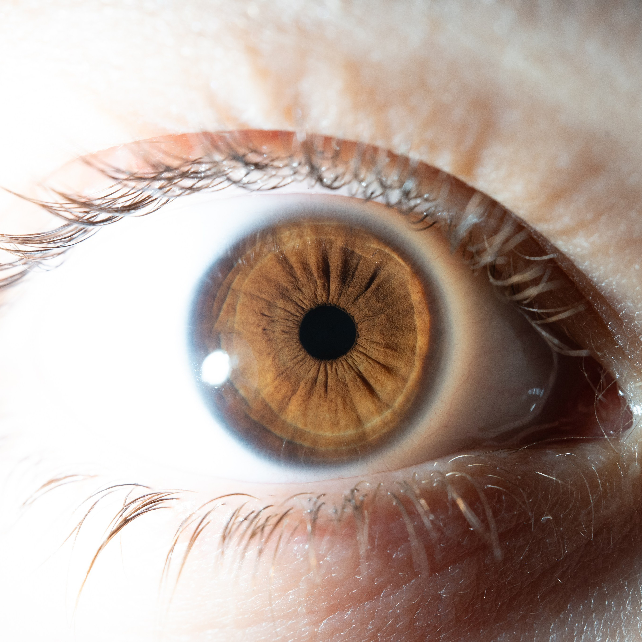 Фотография макро радужки глаза, Севастополь, Ojo Art , фото студия радужки глаза в Крыму, Севастополь 