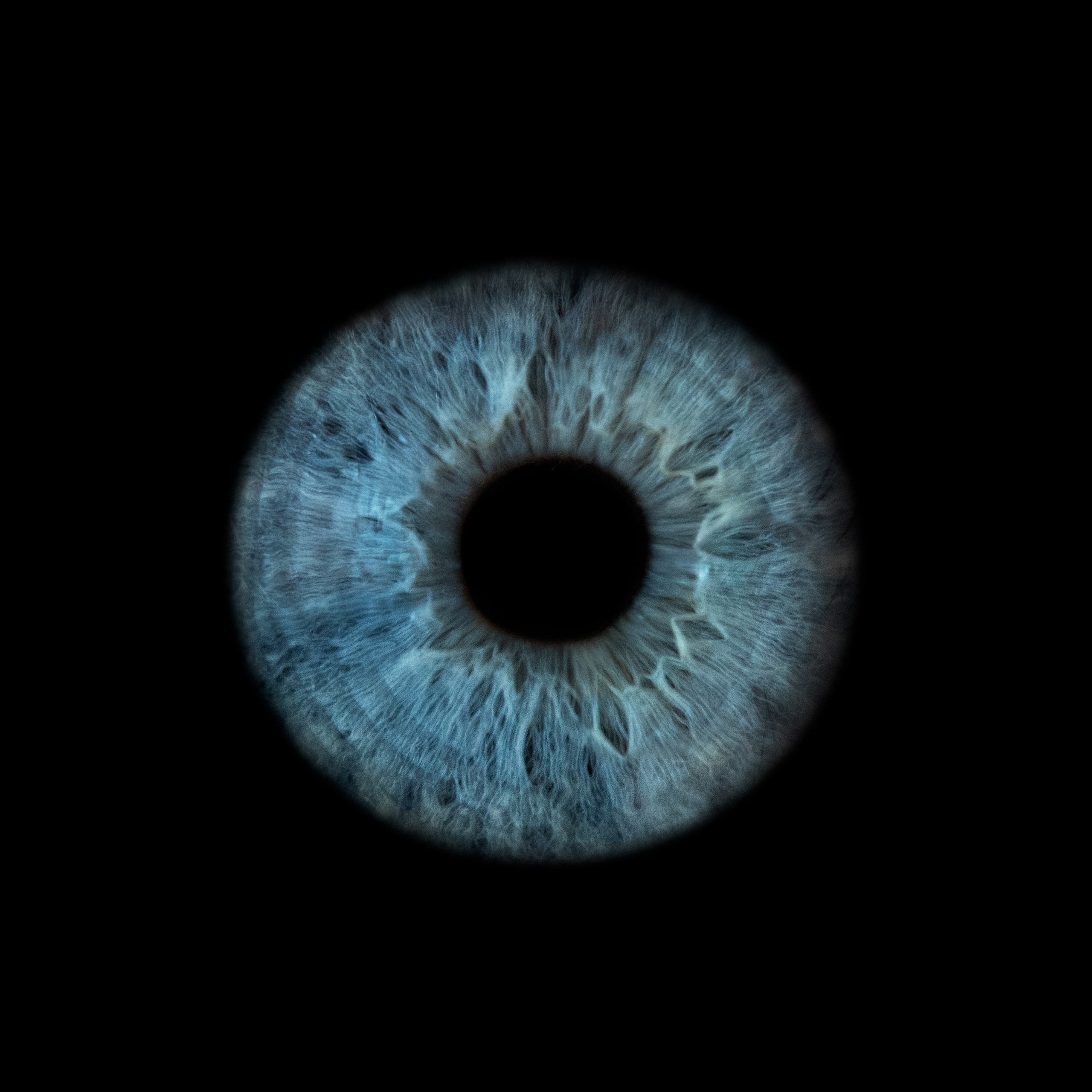 Фото радужки глаза, Севастополь, Ojo Art , фото студия радужки глаза в Крыму.