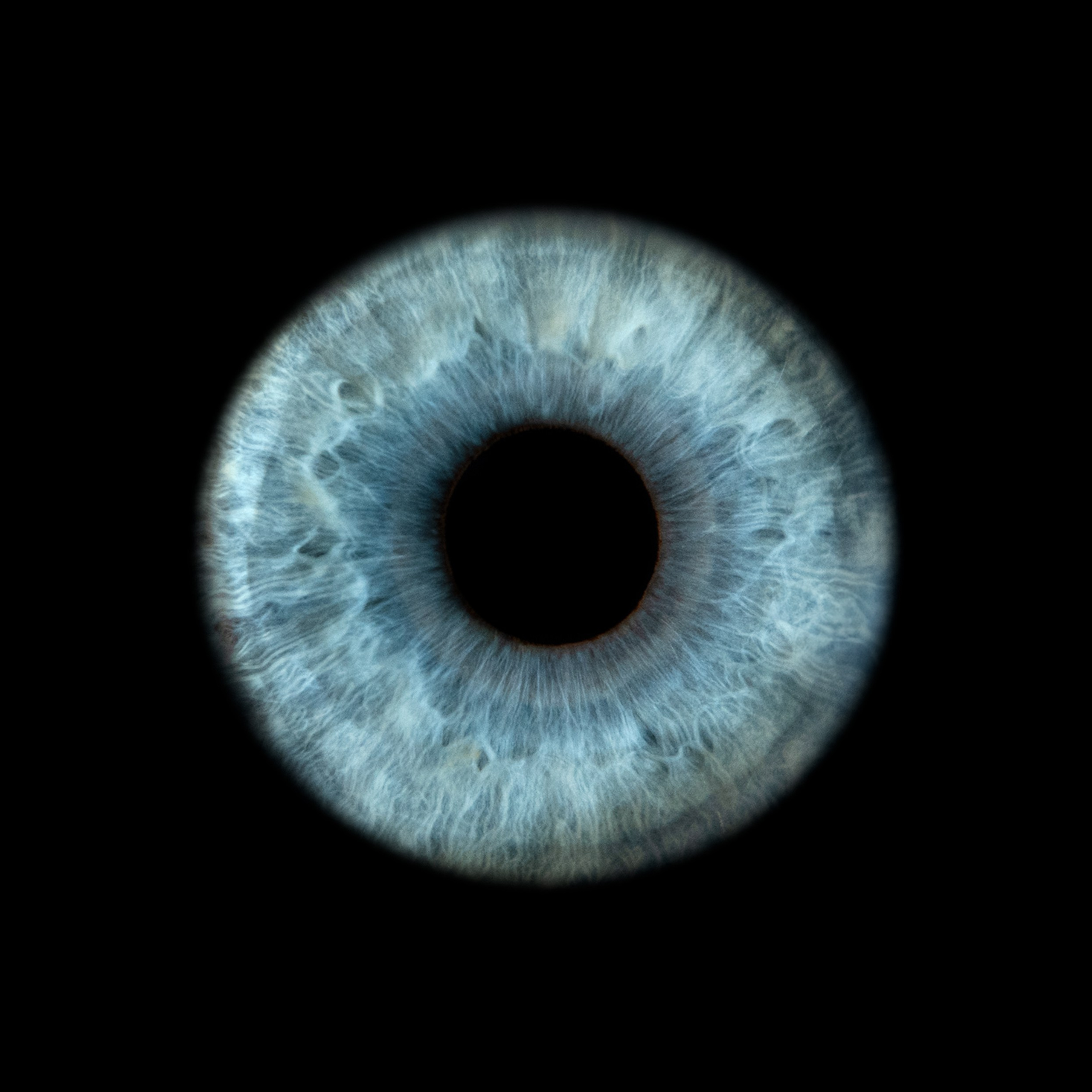 Портфолио — Галерея макрофотографий радужек глаза от Ojo Art, Севастополь. Фотостудия макросъёмки радужки глаз в Севастополе «Ojo art»