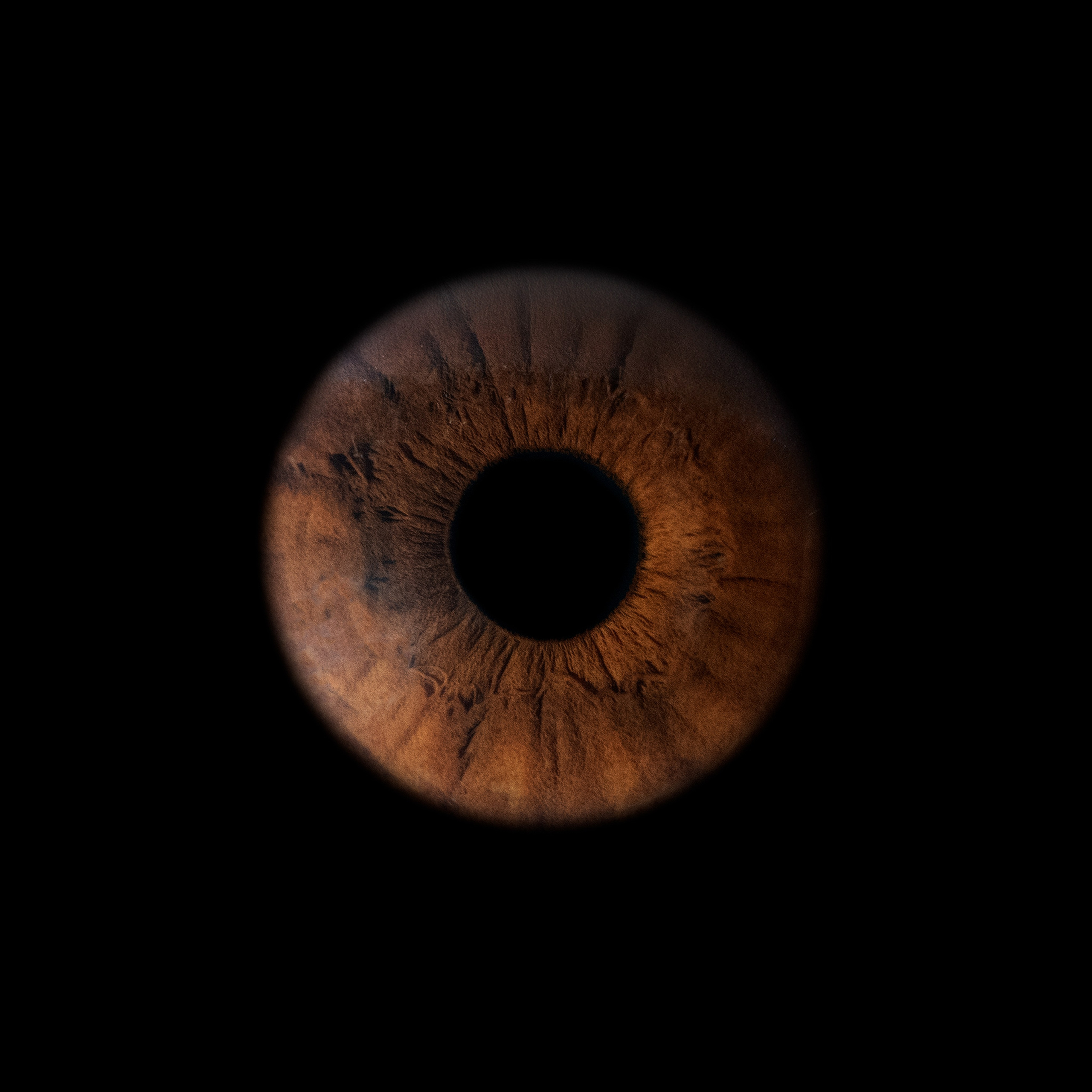 Портфолио — Галерея макрофотографий радужек глаза от Ojo Art, Севастополь. Фотостудия макросъёмки радужки глаз в Севастополе «Ojo art»