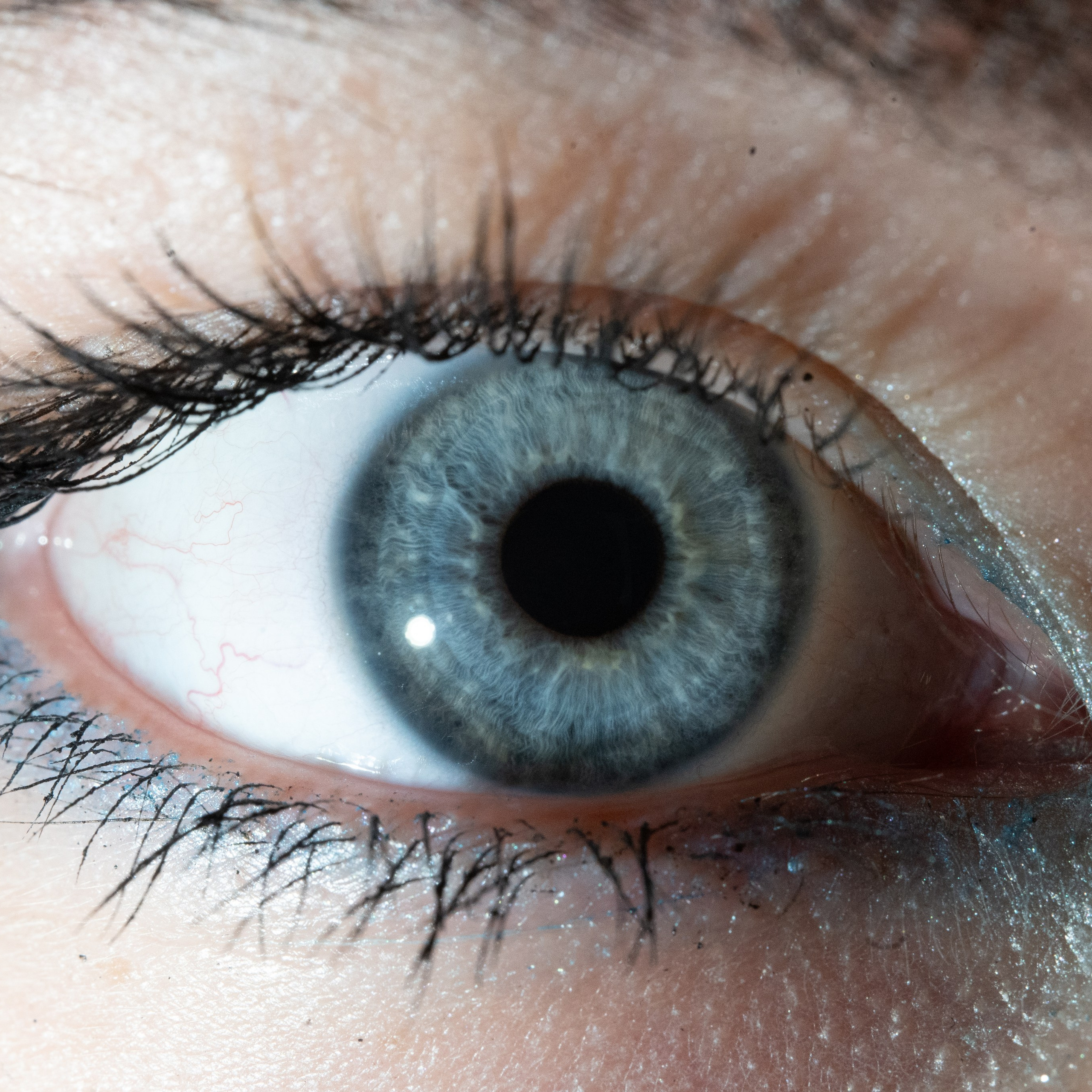 Портфолио — Галерея глаз  Ojo Art. Фотостудия макросъёмки радужки глаз в Севастополе «Ojo art»