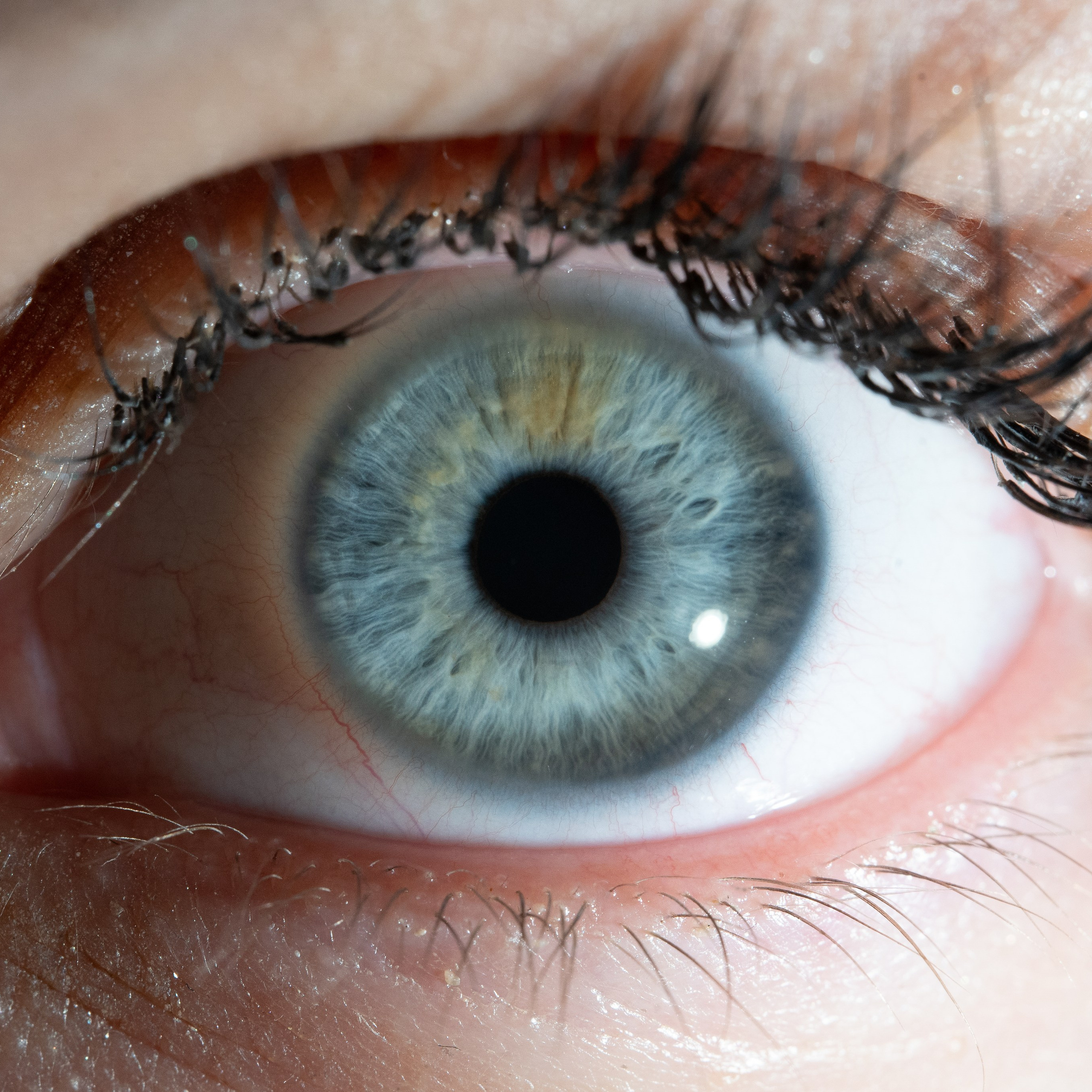 Фотография макро радужки глаза, Севастополь, Ojo Art , фото студия радужки глаза в Крыму, Севастополь 