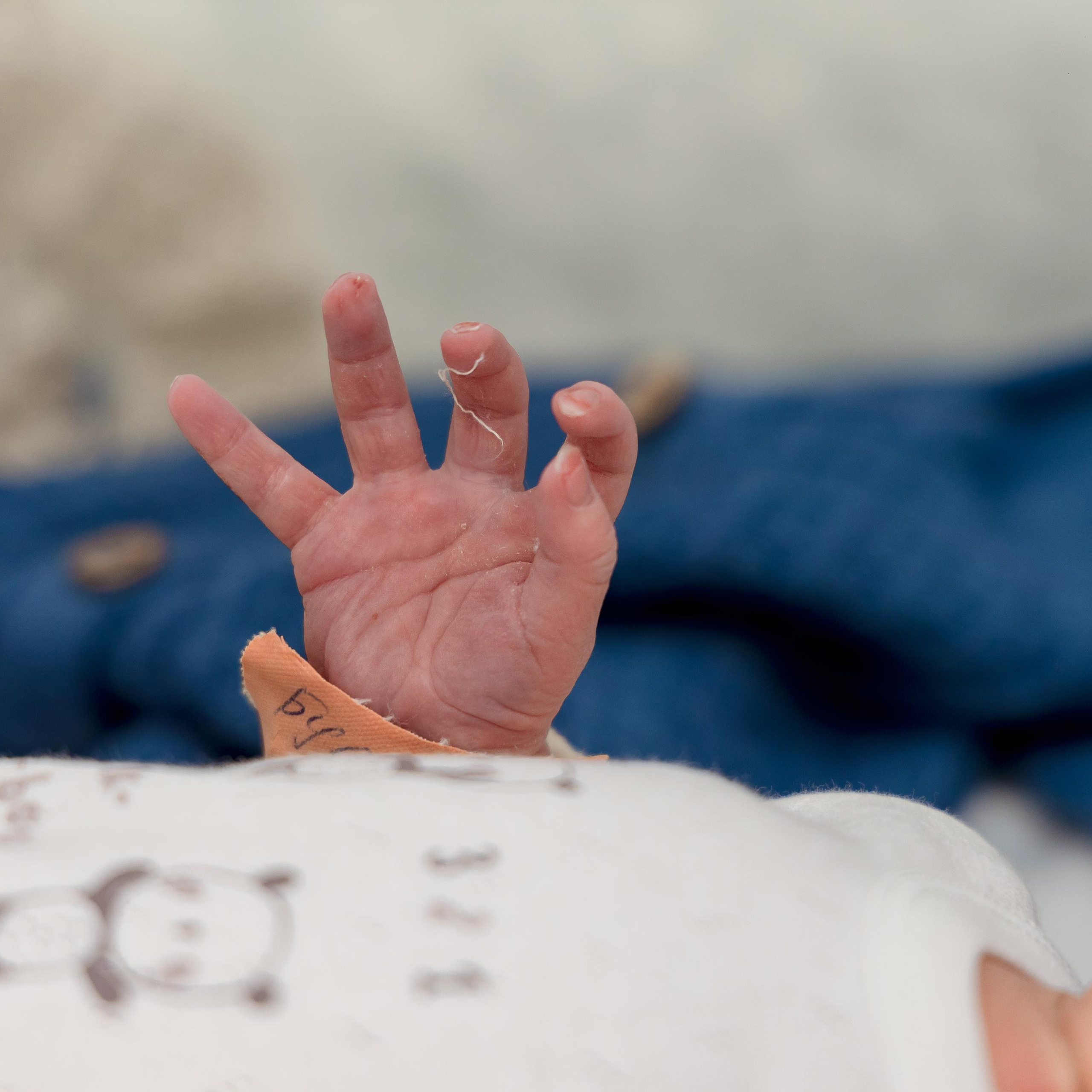 Отзывы. Свадебный и семейный фотограф в Каспийске Алёна Нурмагомедова