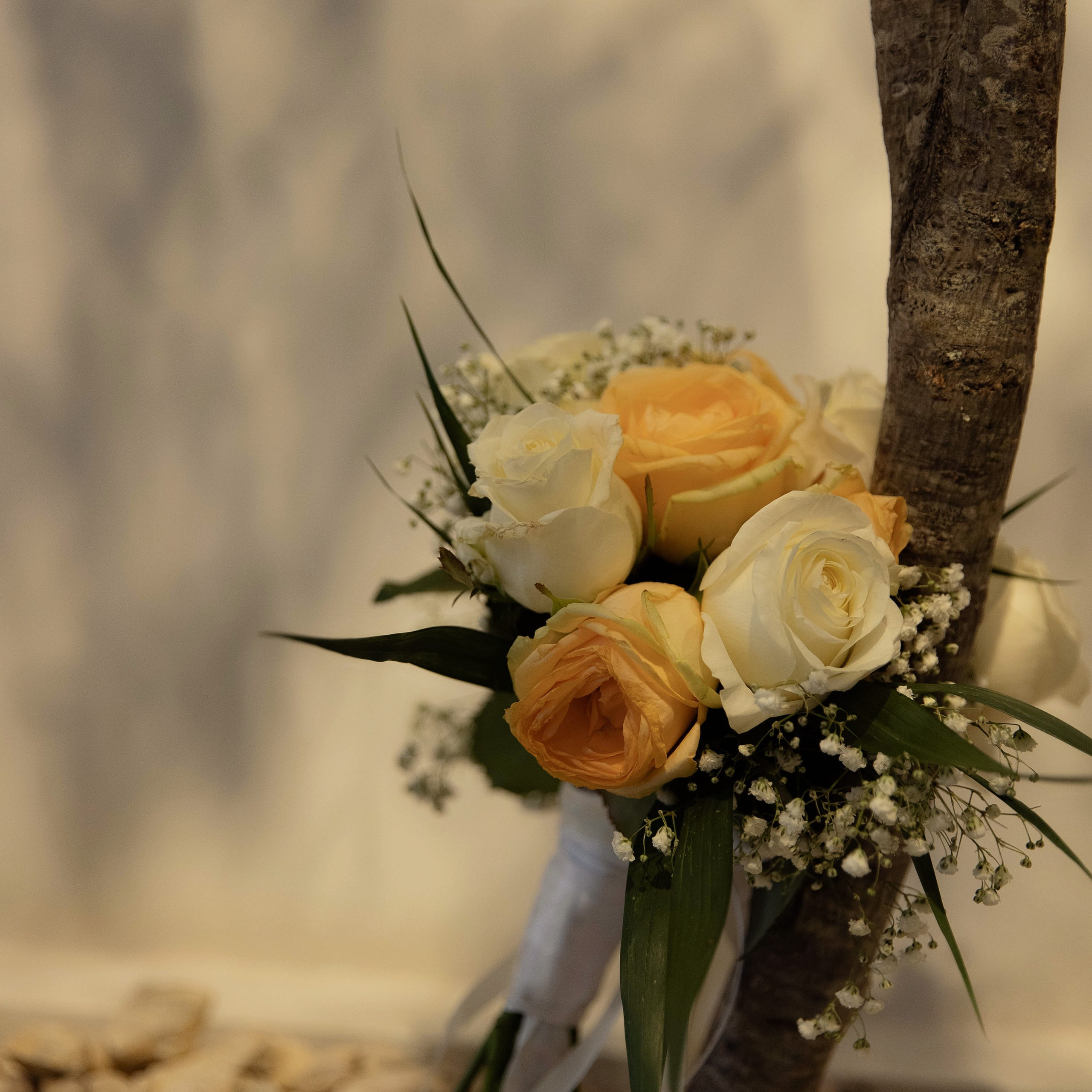 Отзывы. Свадебный и семейный фотограф Майкоп Галина Кизилова