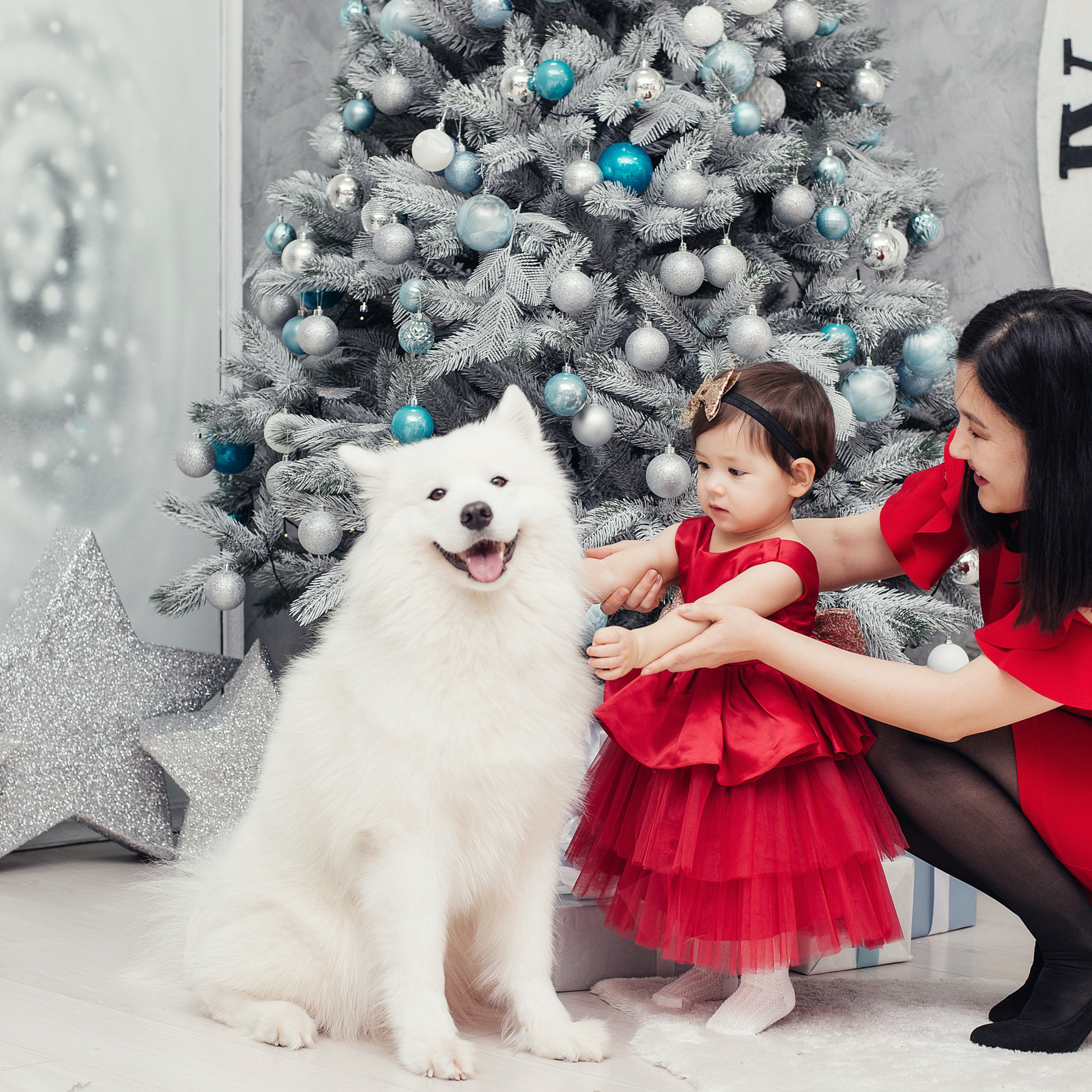 Отзывы. Свадебный и семейный фотограф Майкоп Галина Кизилова