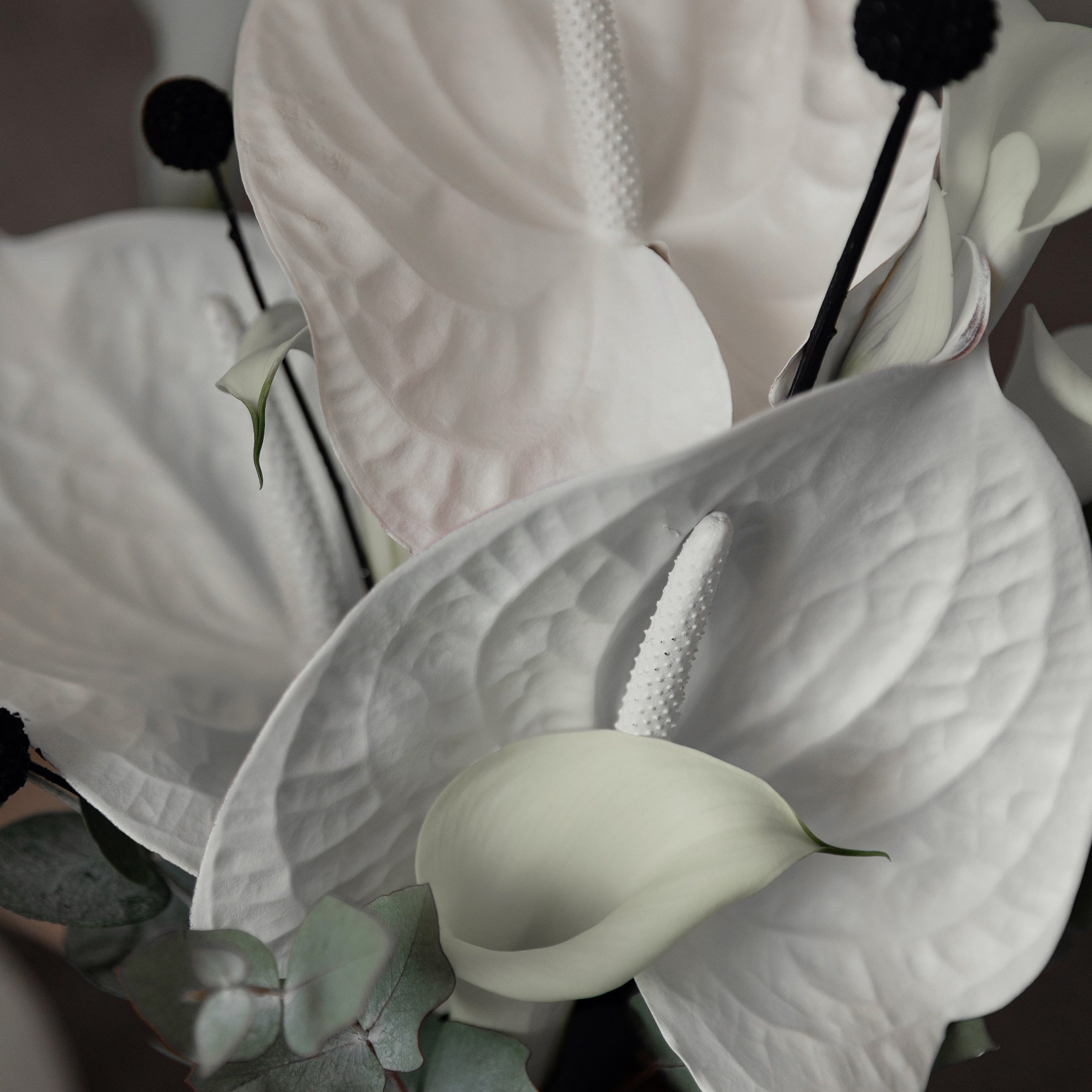 ФОТО галерея. Свадебный и семейный фотограф Майкоп Галина Кизилова