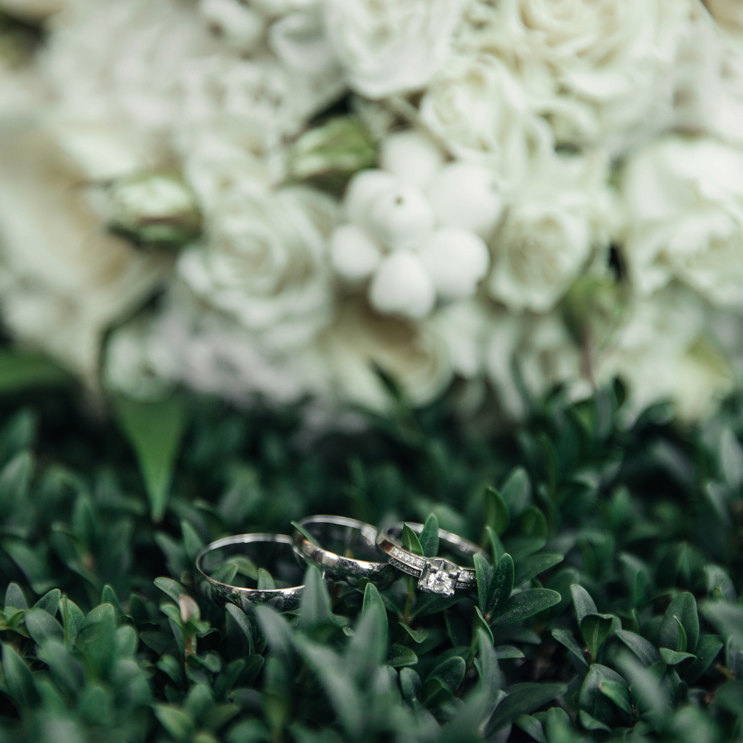 Отзывы. Свадебный и семейный фотограф Майкоп Галина Кизилова