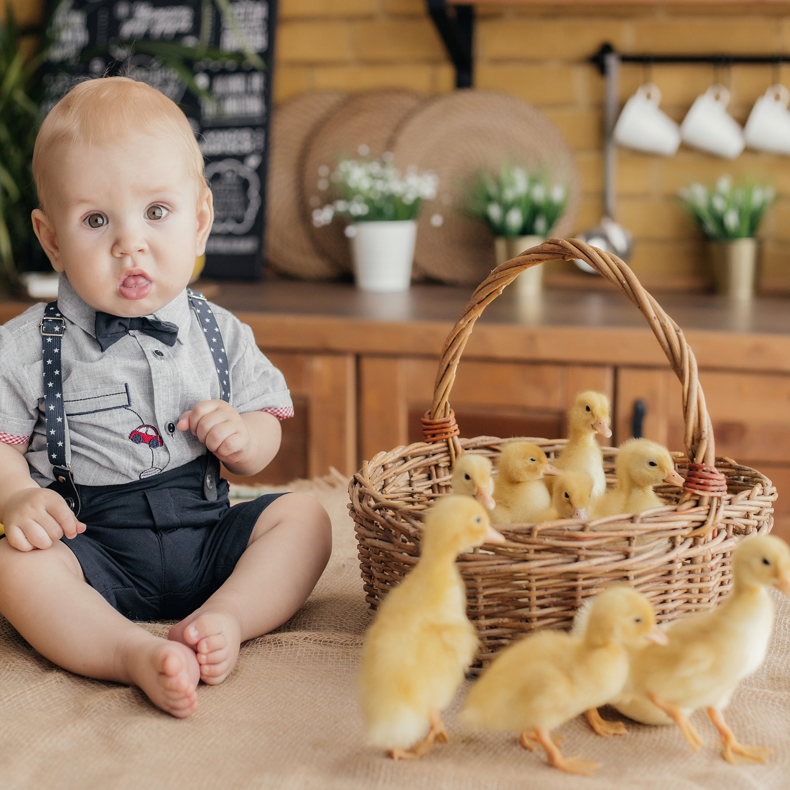 Отзывы. Свадебный и семейный фотограф Майкоп Галина Кизилова