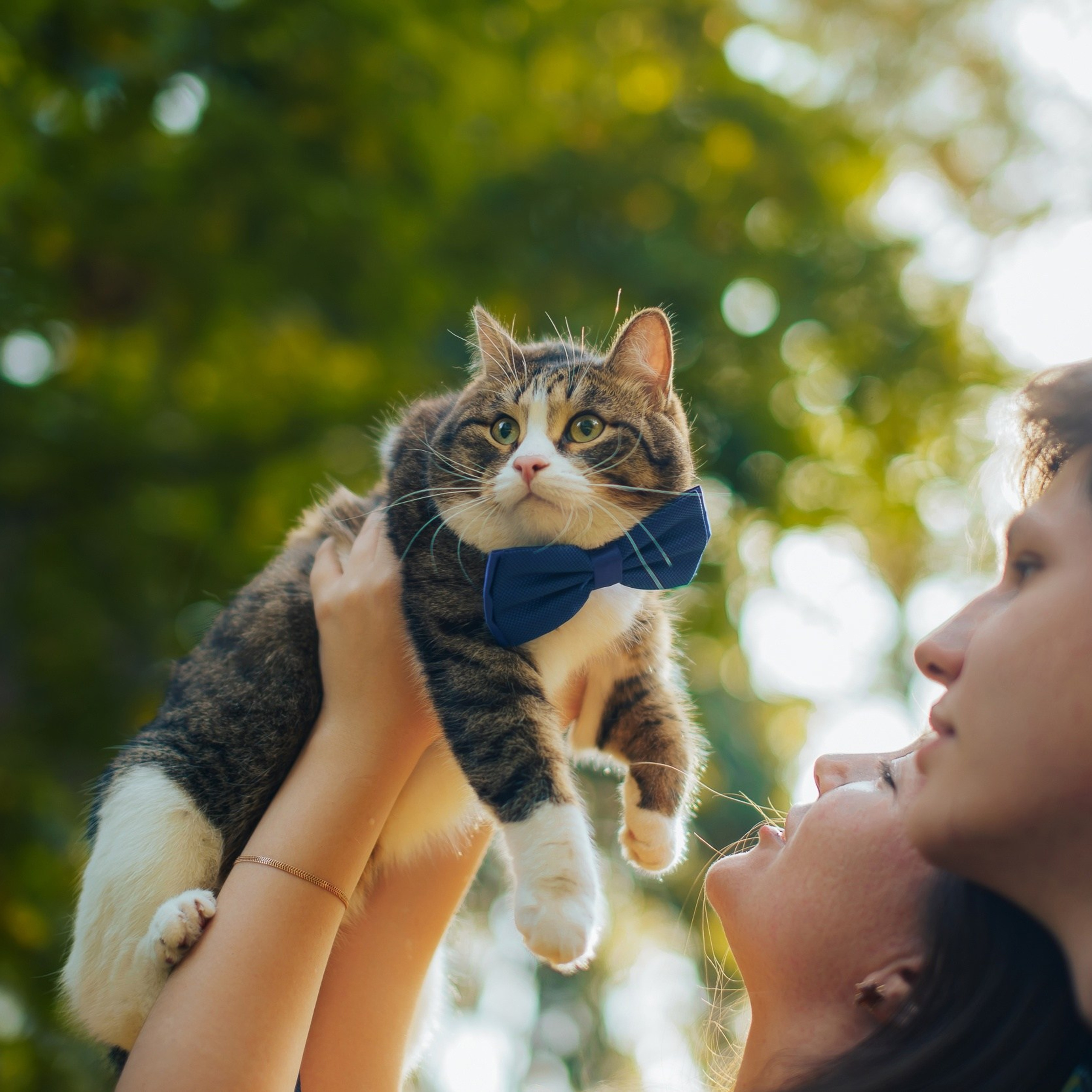 Лавстори Люда, Женя и КотКотофеич