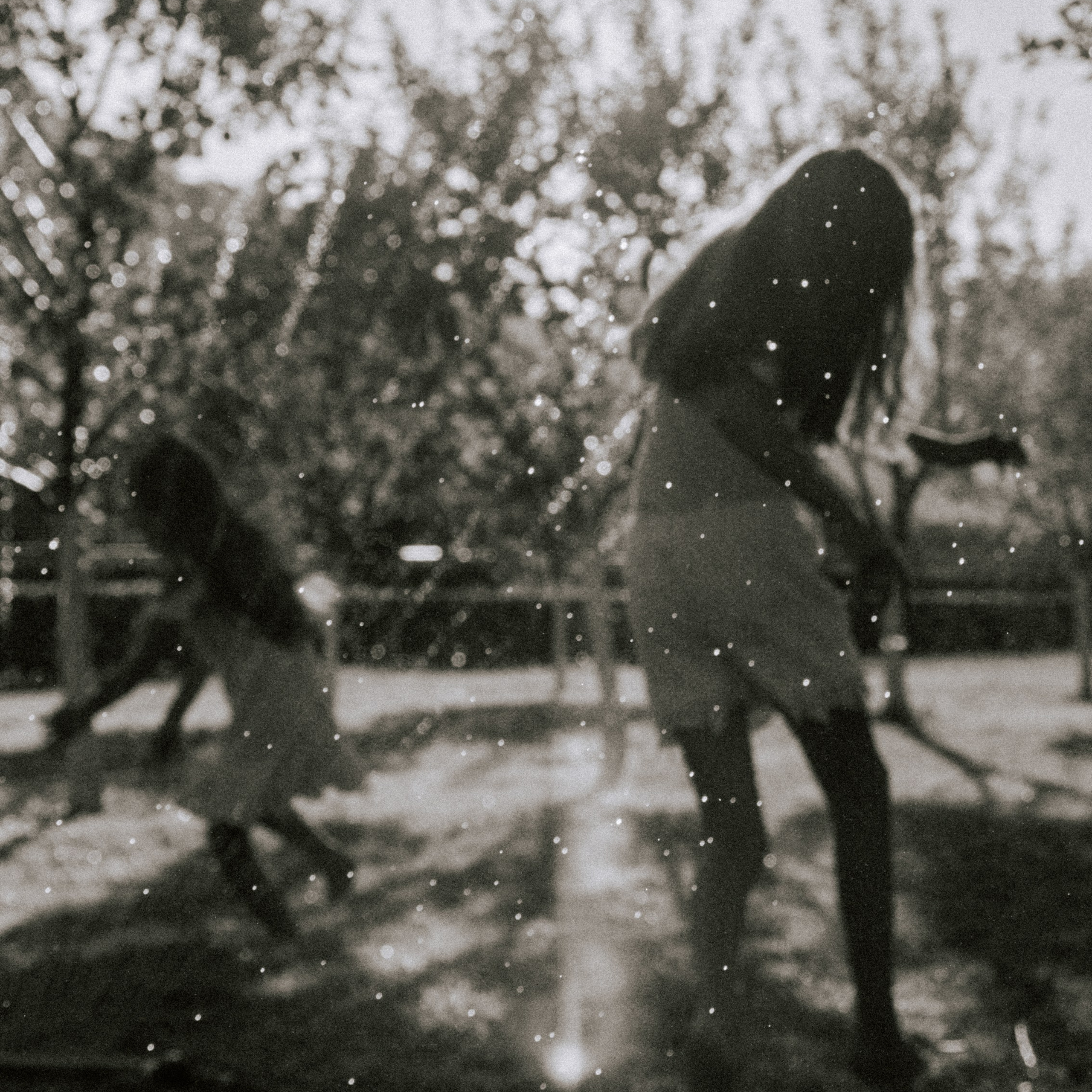 Отзывы. Фотограф Красная поляна|Сочи|Сириус