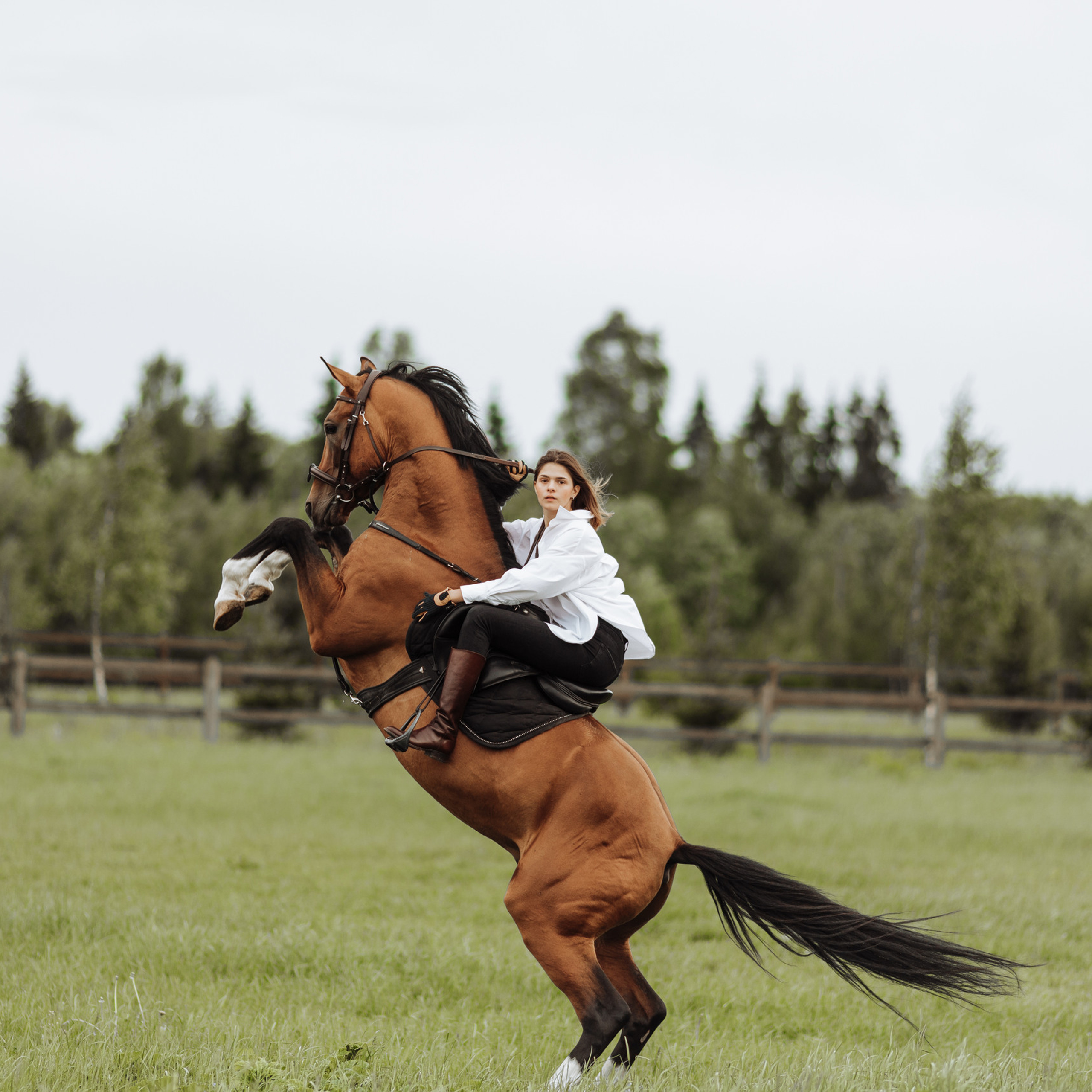 Отзывы о фотографе Ольги Шевелёвой. Свадебный и репортажный фотограф Ольга Шевелёва