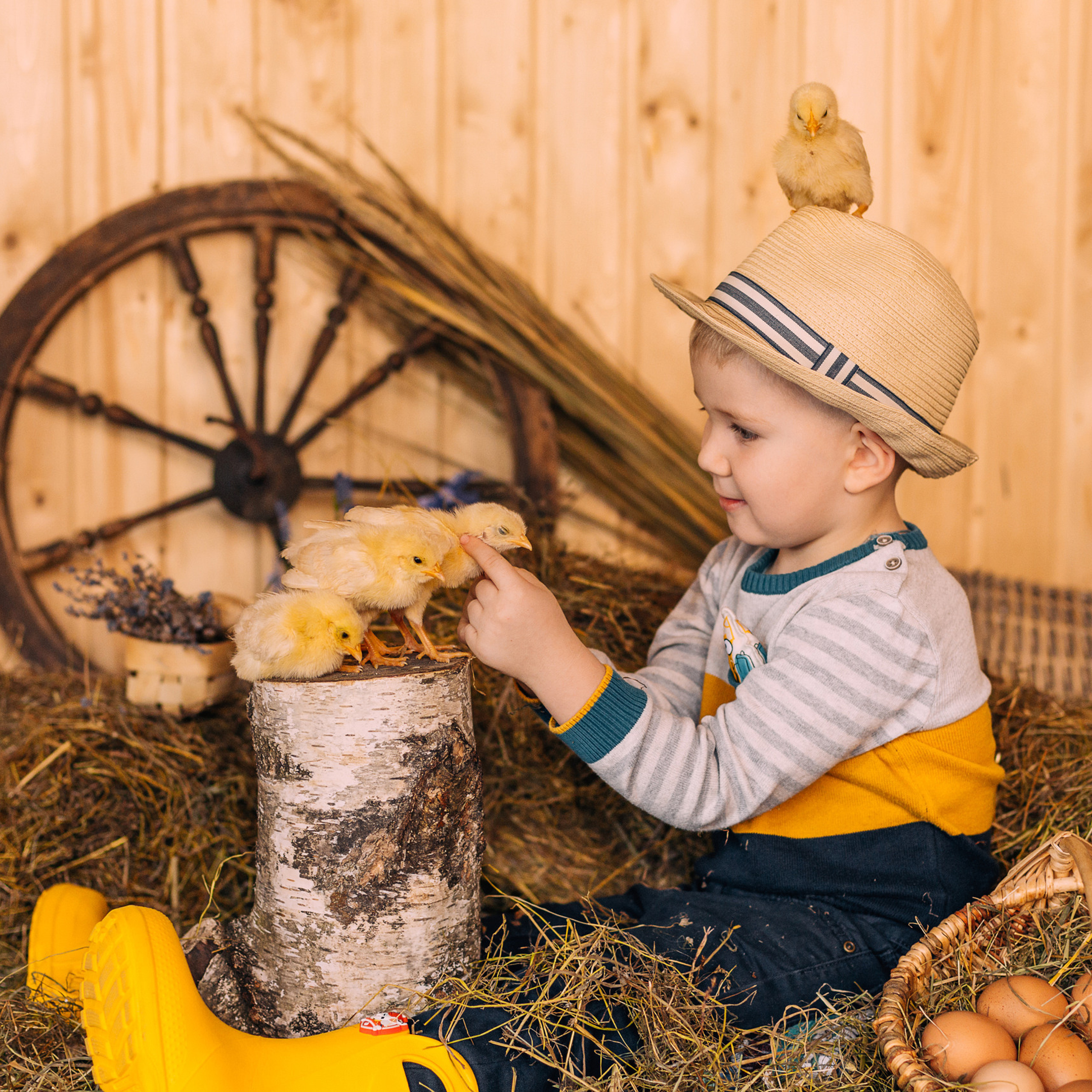 Отзывы о фотографе Ольги Шевелёвой. Свадебный и репортажный фотограф Ольга Шевелёва