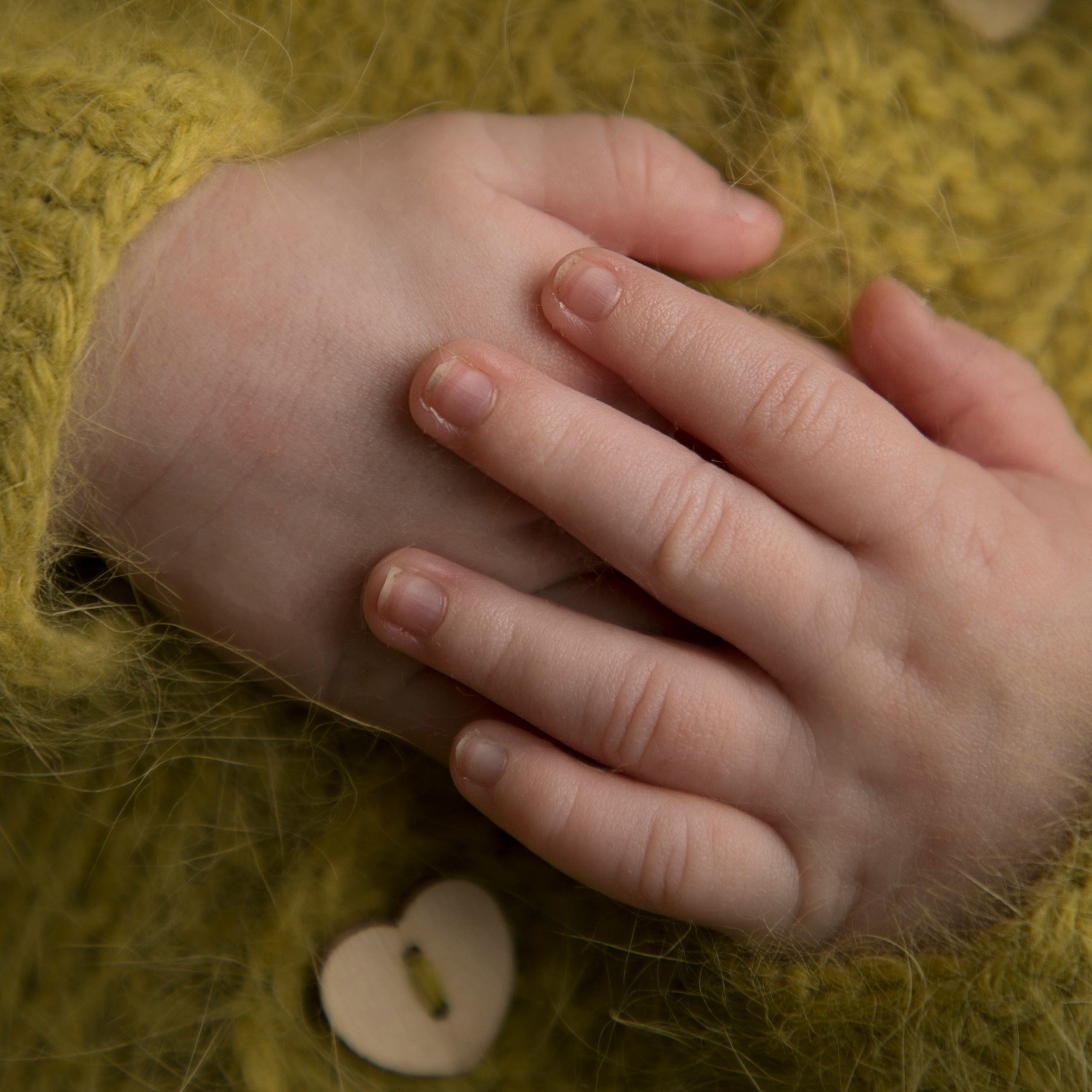 Макро Снимки