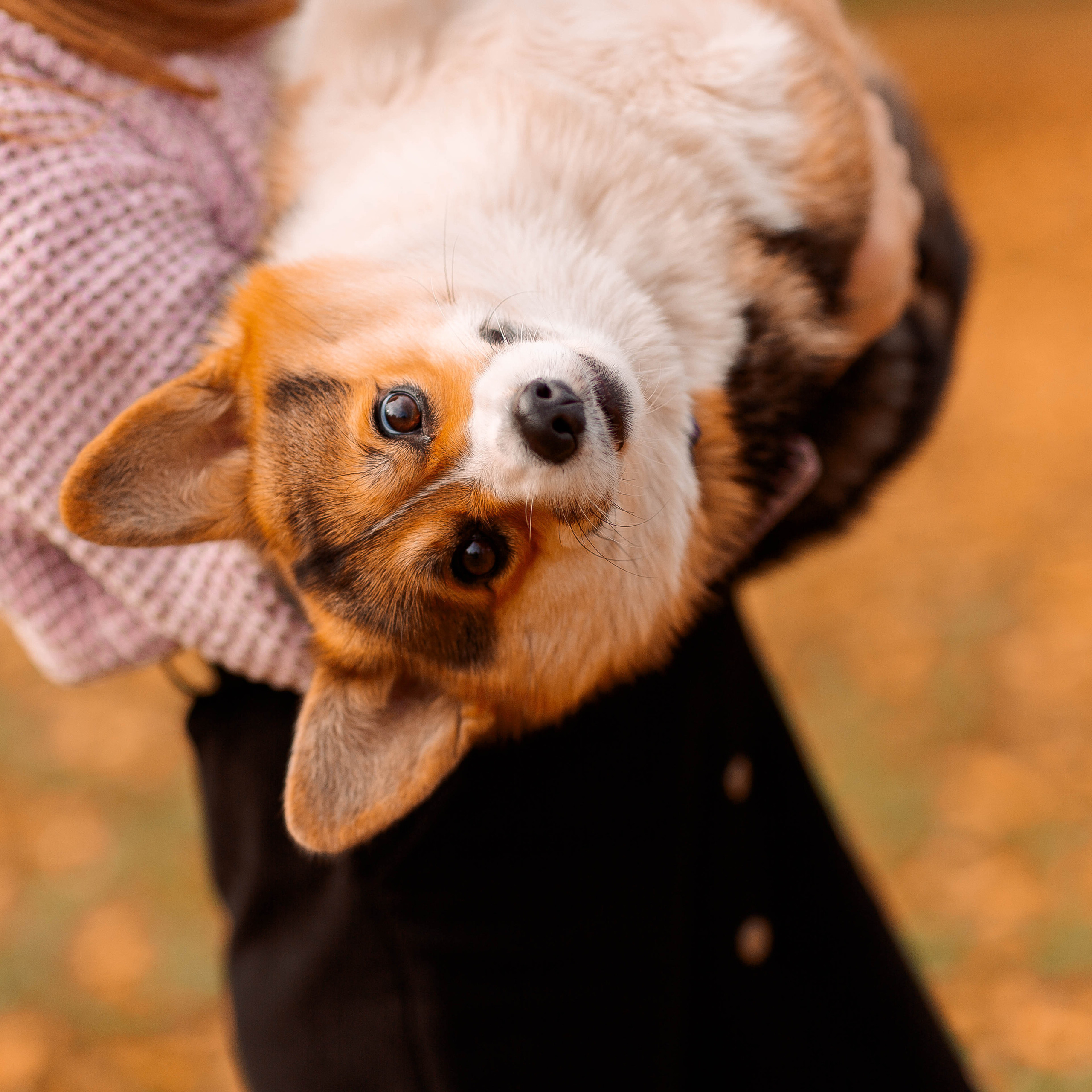 Отзывы. Семейный, свадебный и персональный фотограф в Вологде Виктория Долгопо