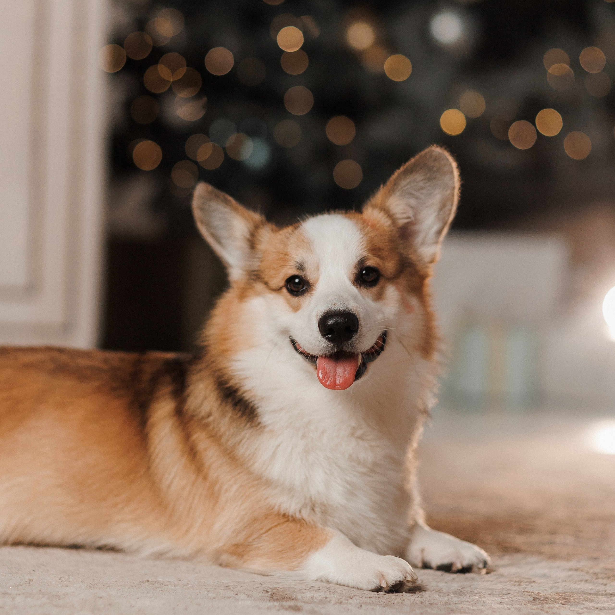 Отзывы. Семейный, свадебный и персональный фотограф в Вологде Виктория Долгопо