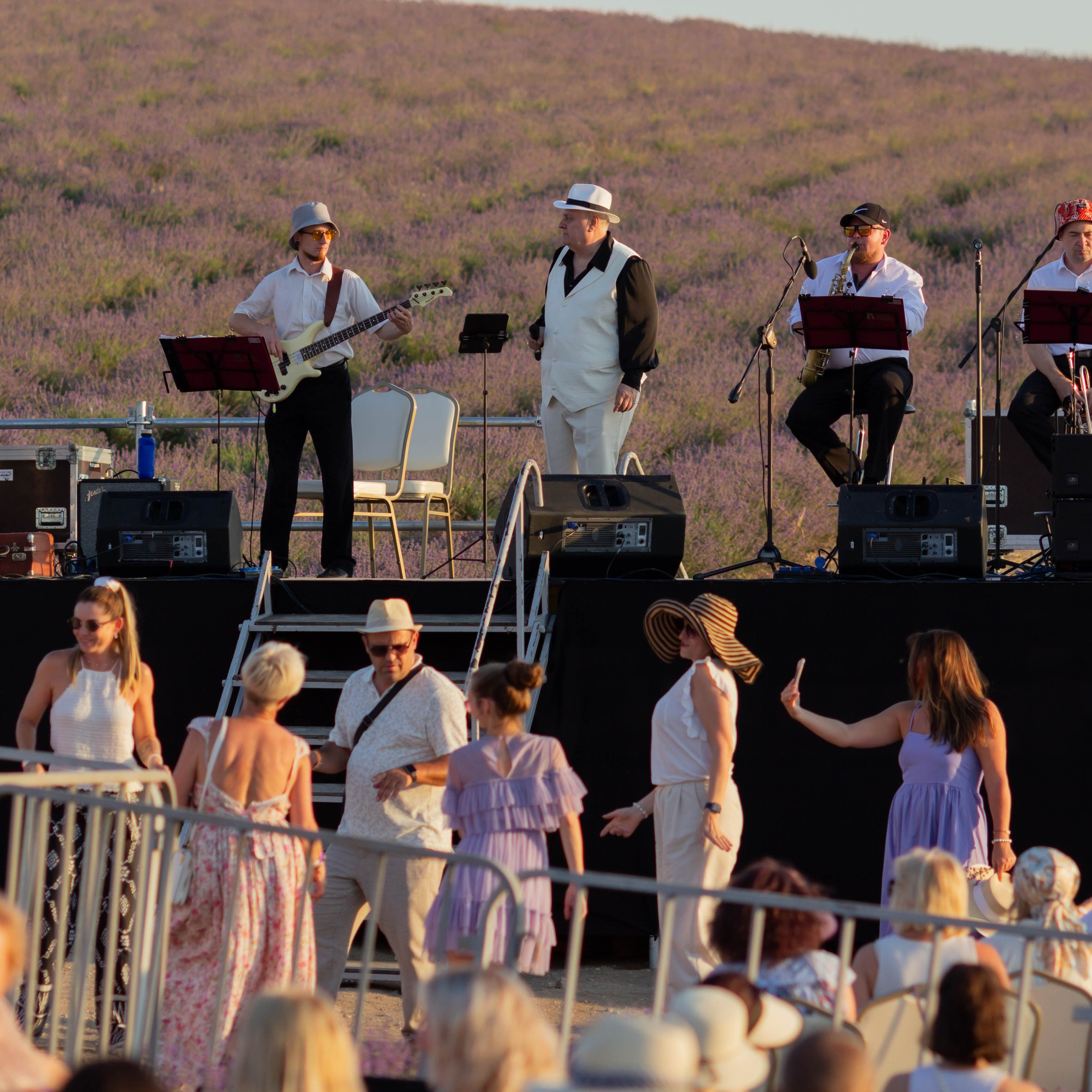 джаз в лаванде