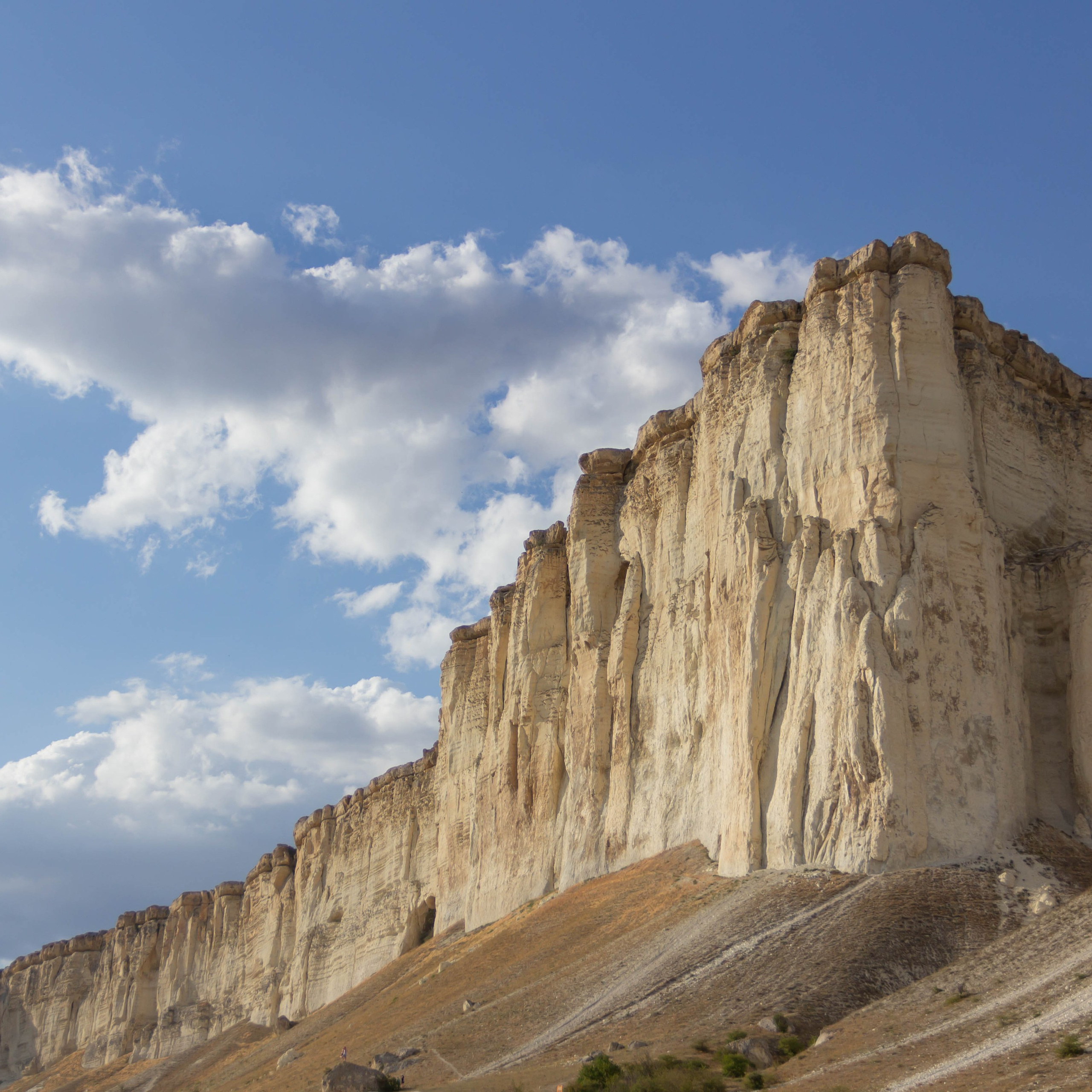 музыкальный пикник