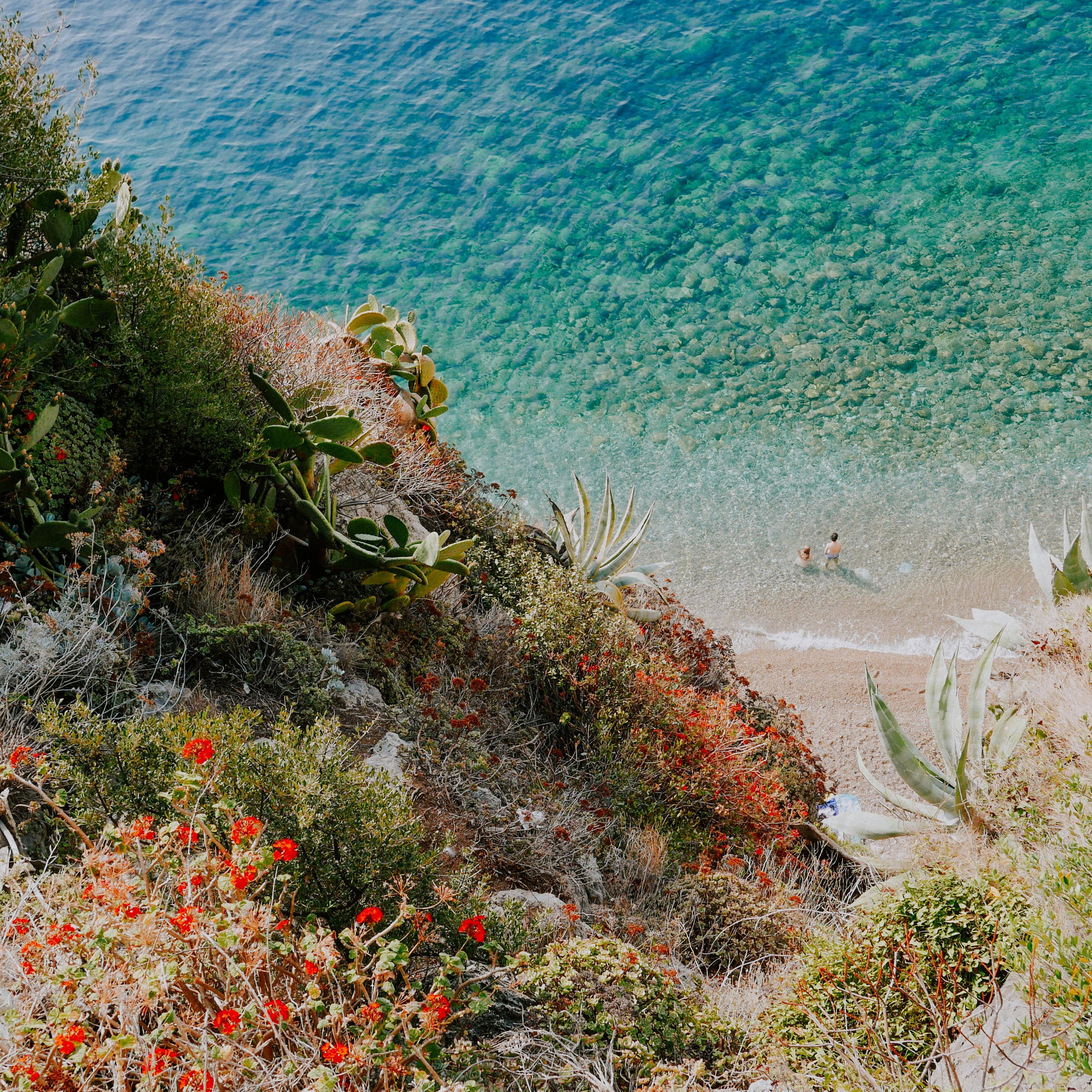 Франция, Монако, Италия