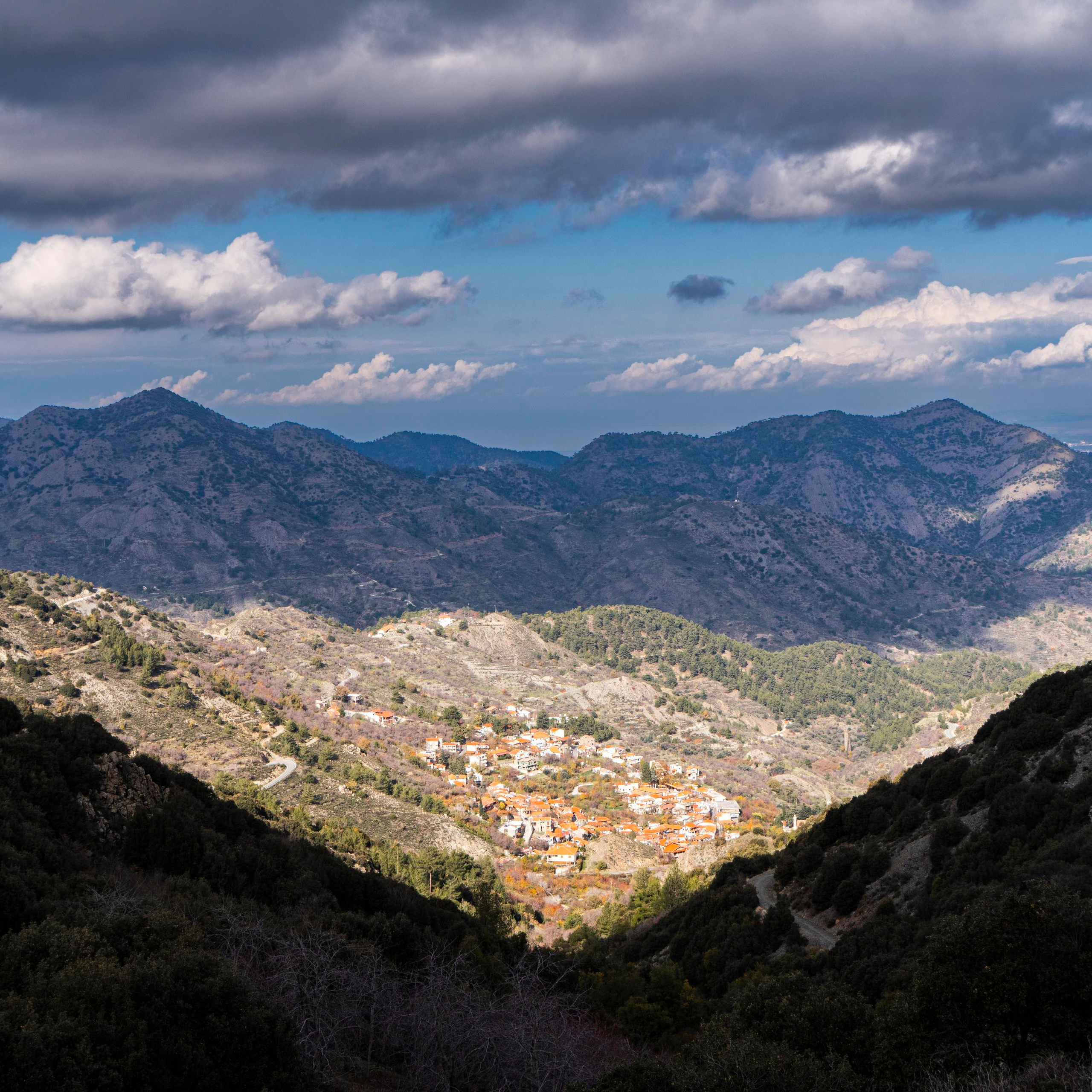 Feedback. Photographer in Cyprus