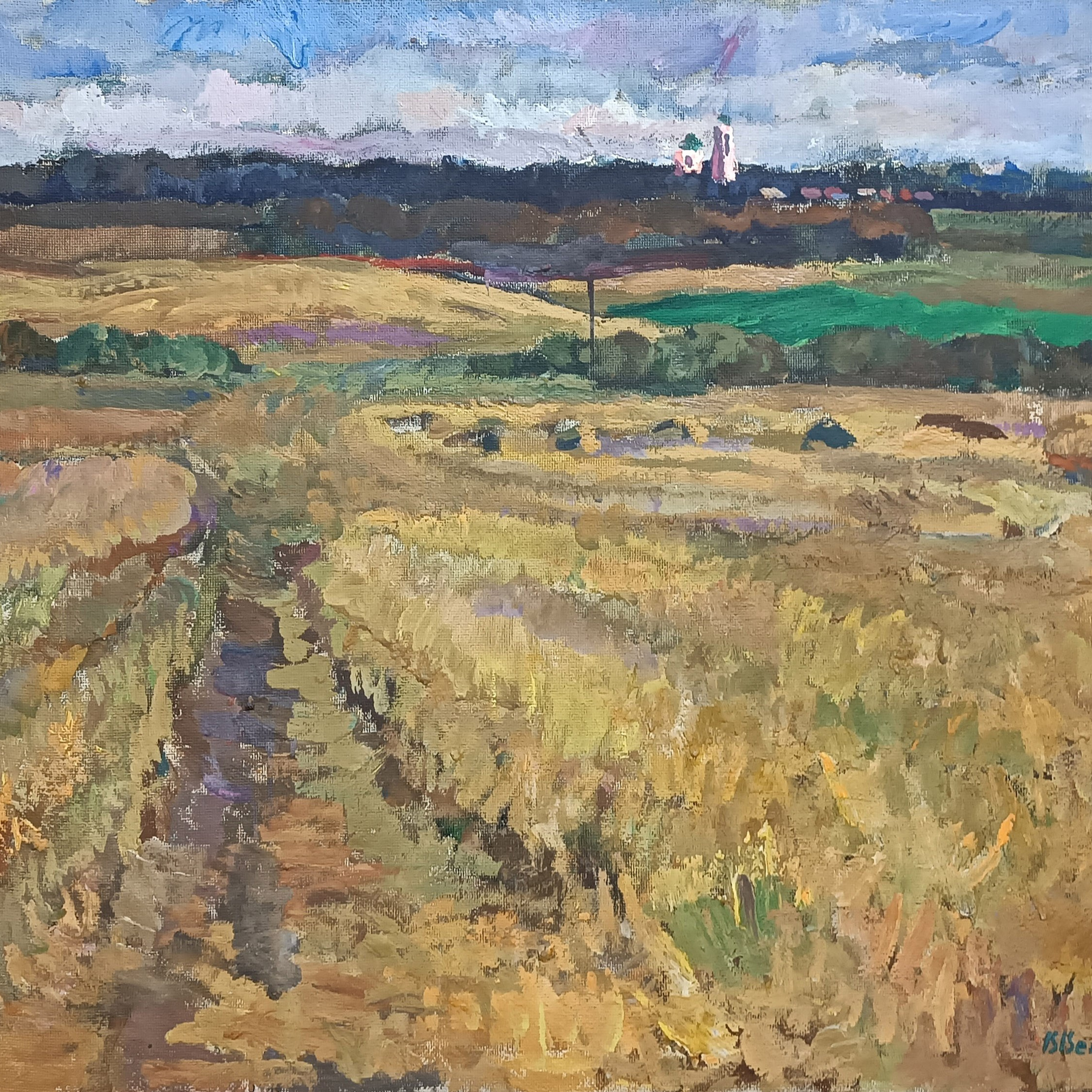 «Поля под Рахманово» 1969 год