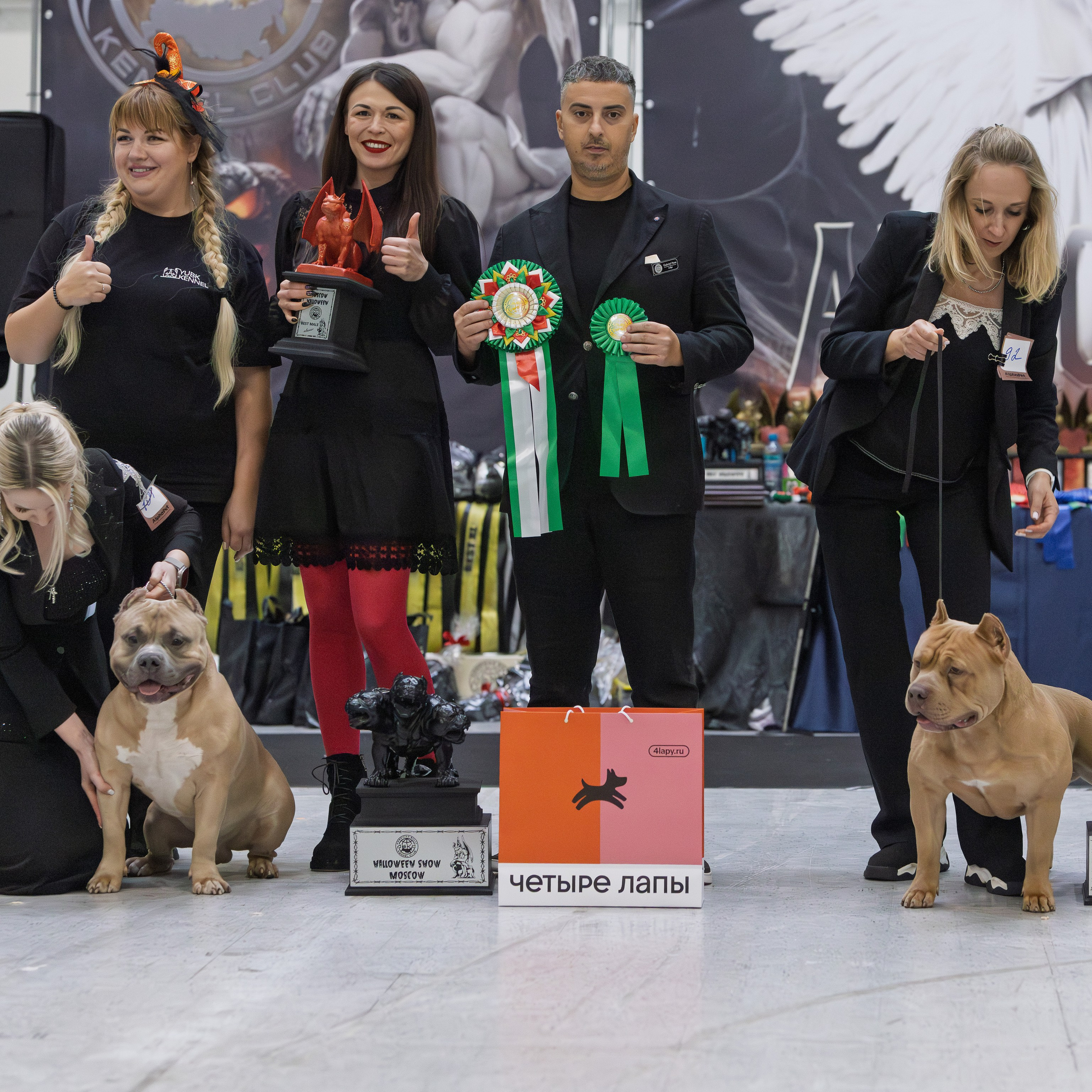 Фотогалерея. SANGRES FRESCA | Питомник американских булли в Московской области