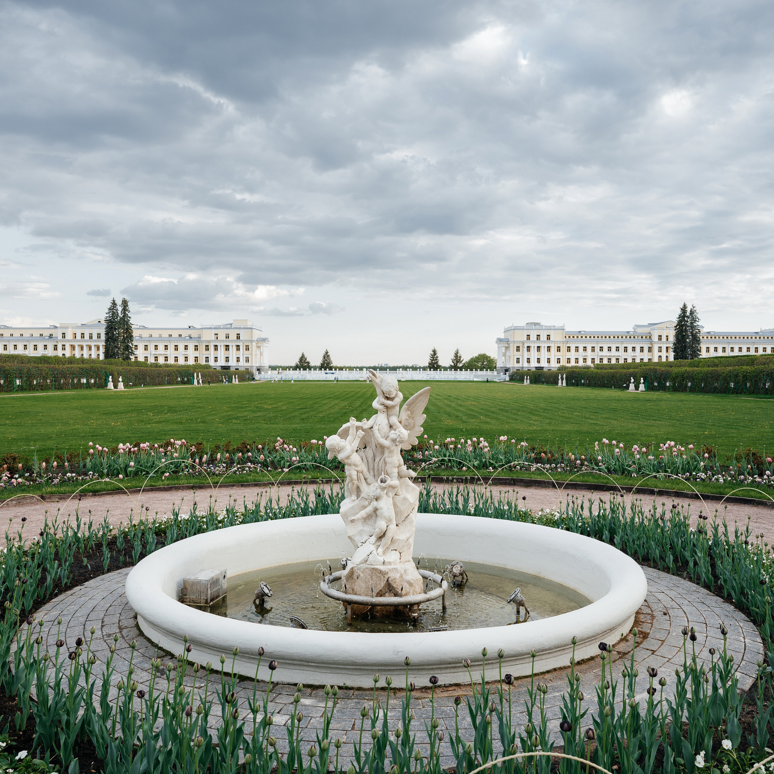 Отзывы. Свадебный фотограф в Москве и по всему Миру Андрей Медведников