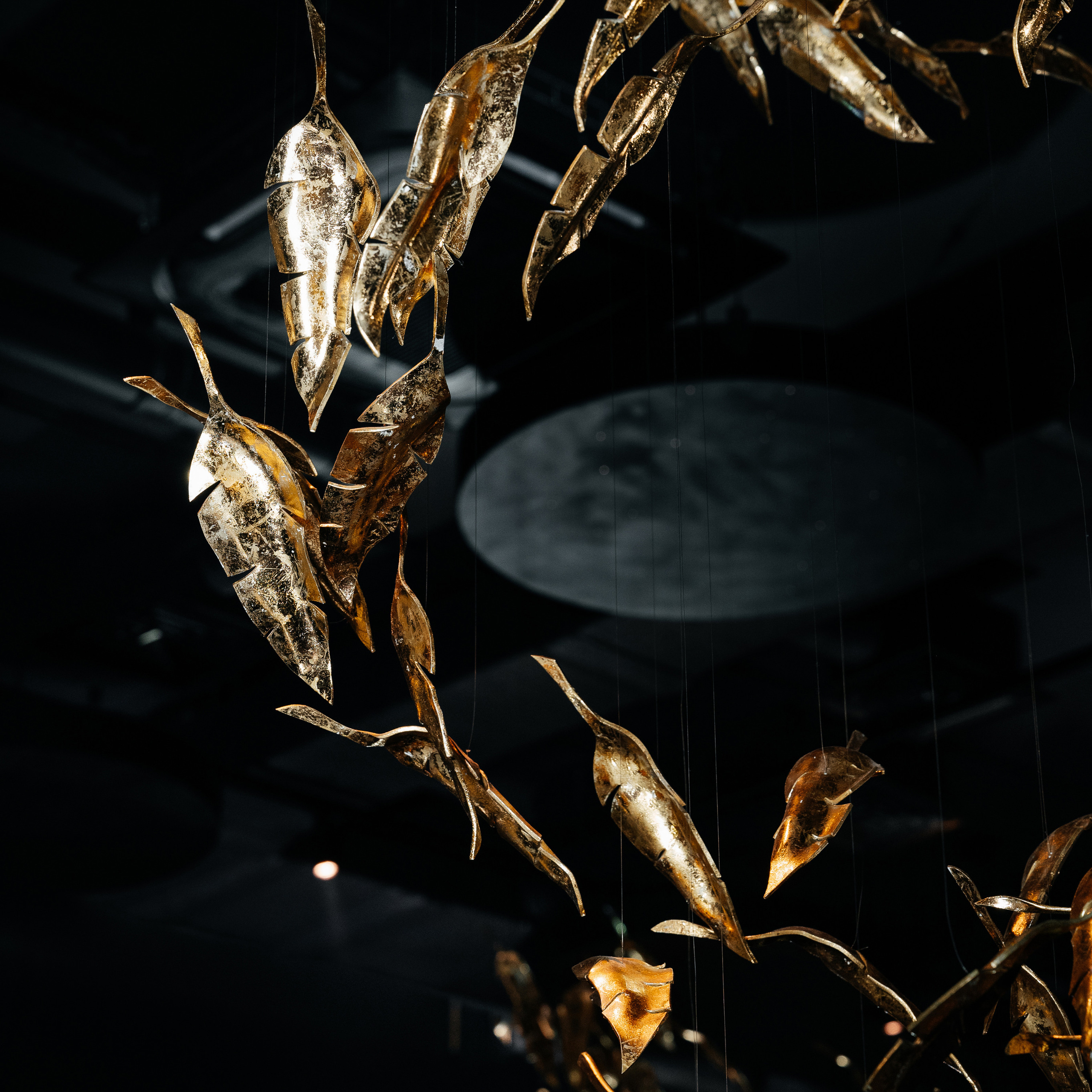 День Рождения Дмитрия