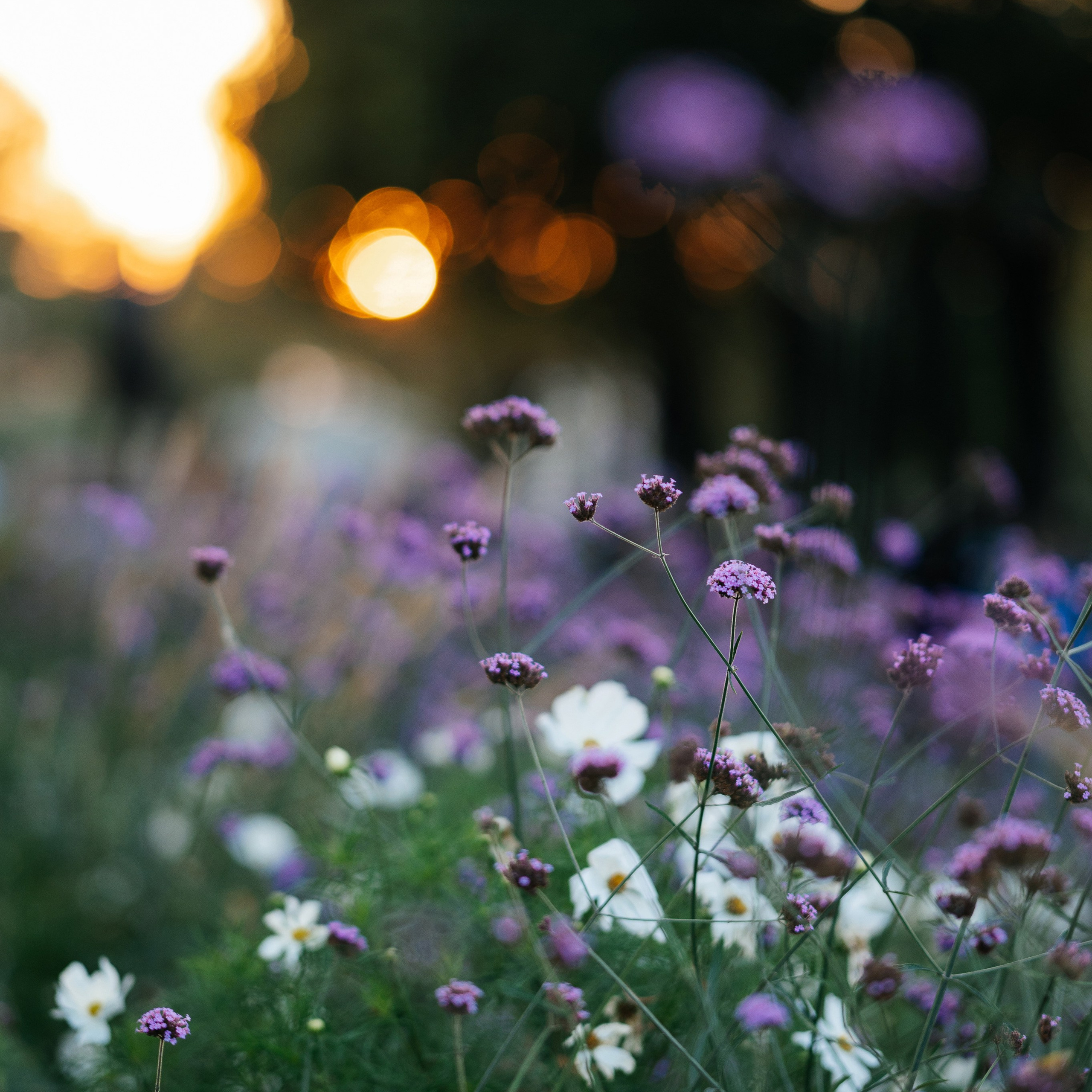 Отзывы. Свадебный фотограф в Москве и по всему Миру Андрей Медведников