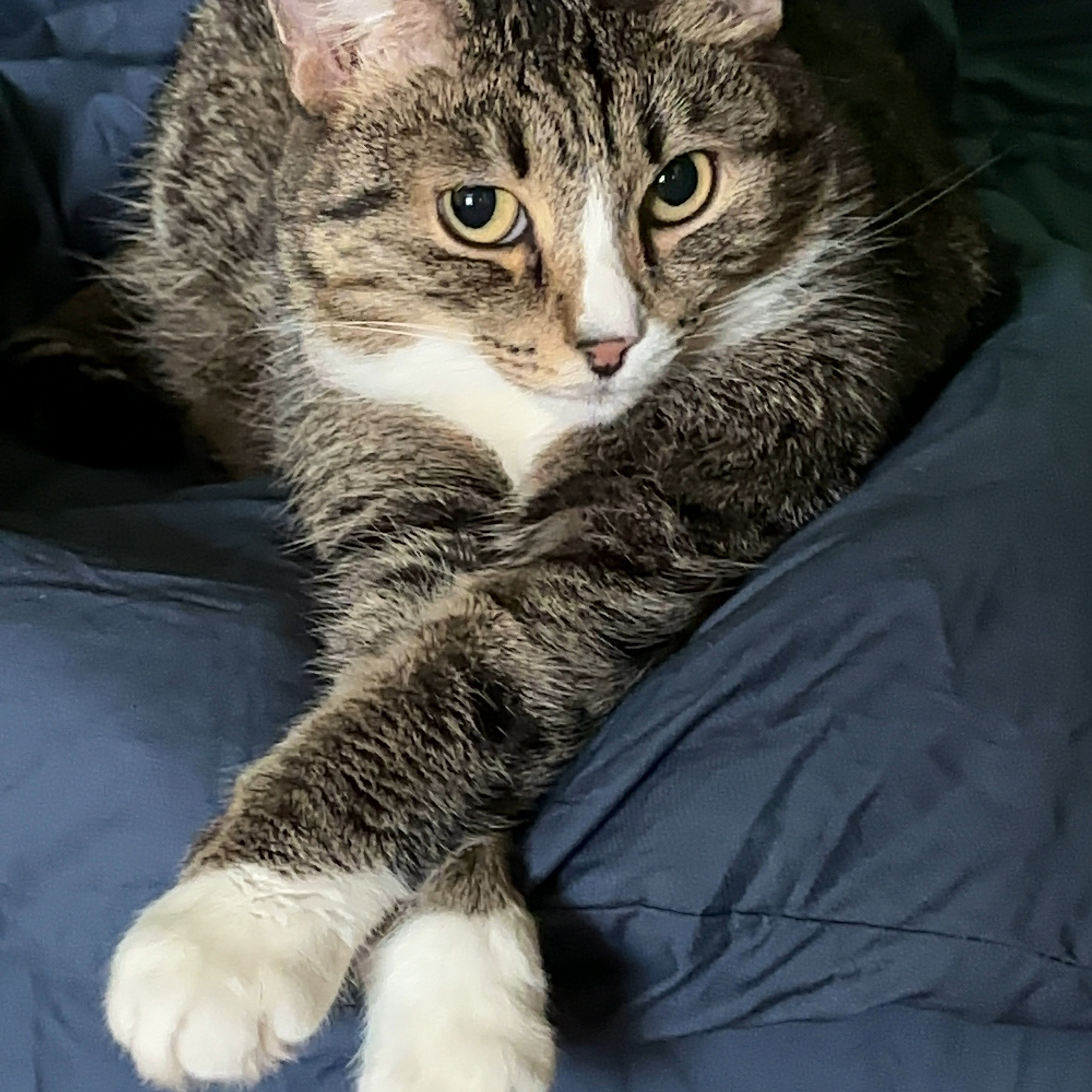 Отзывы. Семейный и Свадебный фотограф в Астане Александр Астапов