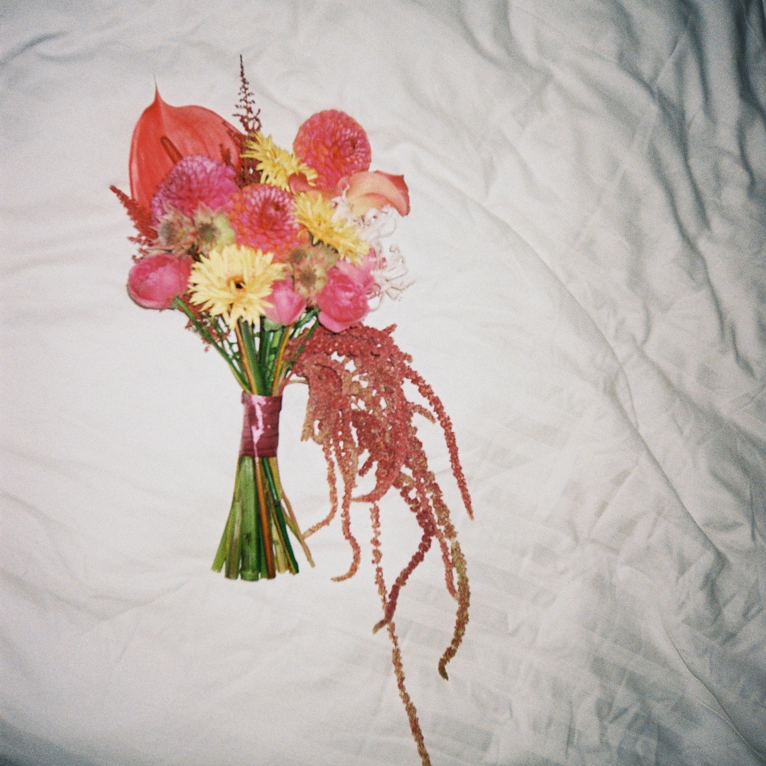 Регисрация брака в Пушкинской библиотеке и камерный свадебный ужин в кругу семьи в ресторане Ривьера. Свадебный фотограф Москва Москвовская область Санкт-Петербург