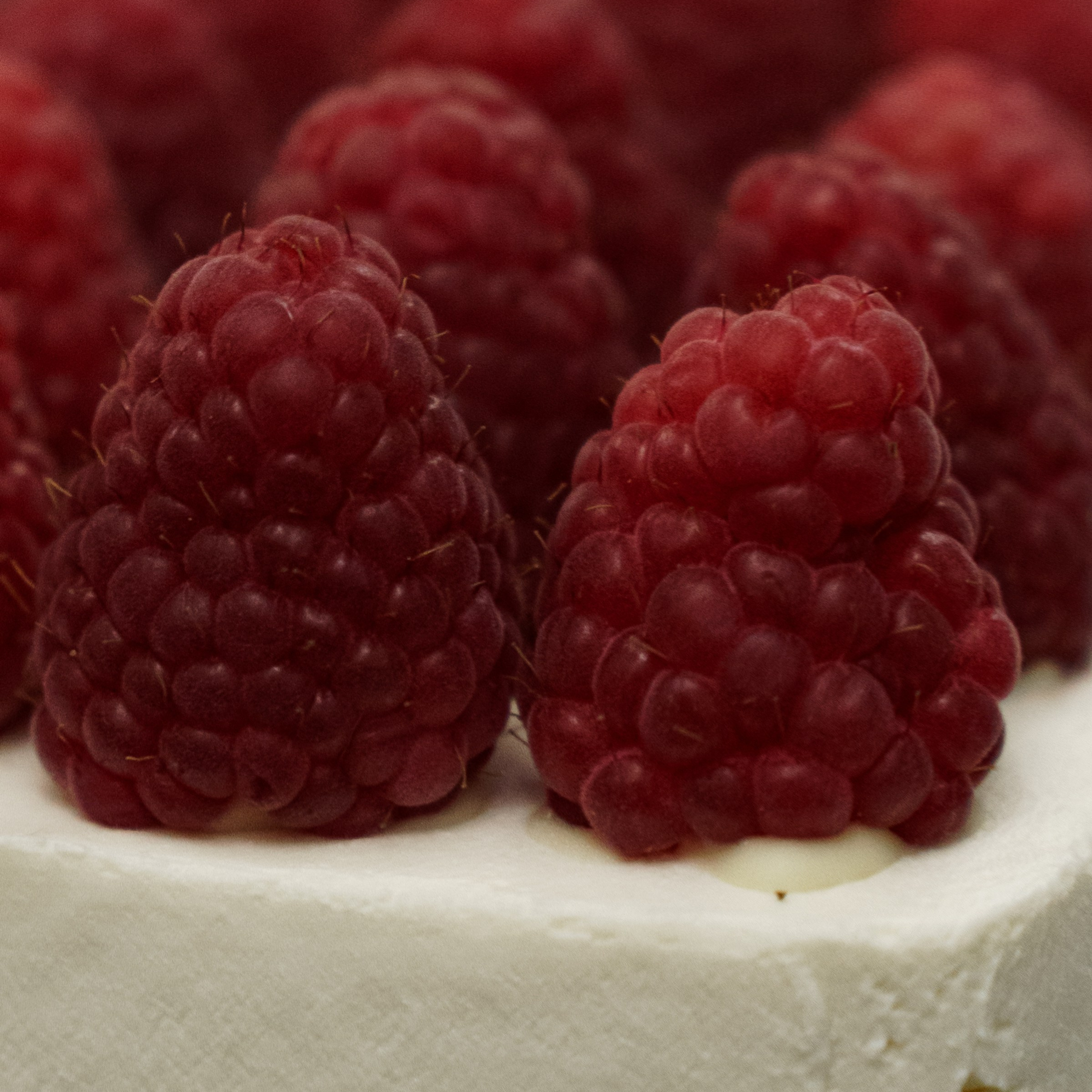 Свадьба на природе. Свадебный фотограф Москва Москвовская область Санкт-Петербург