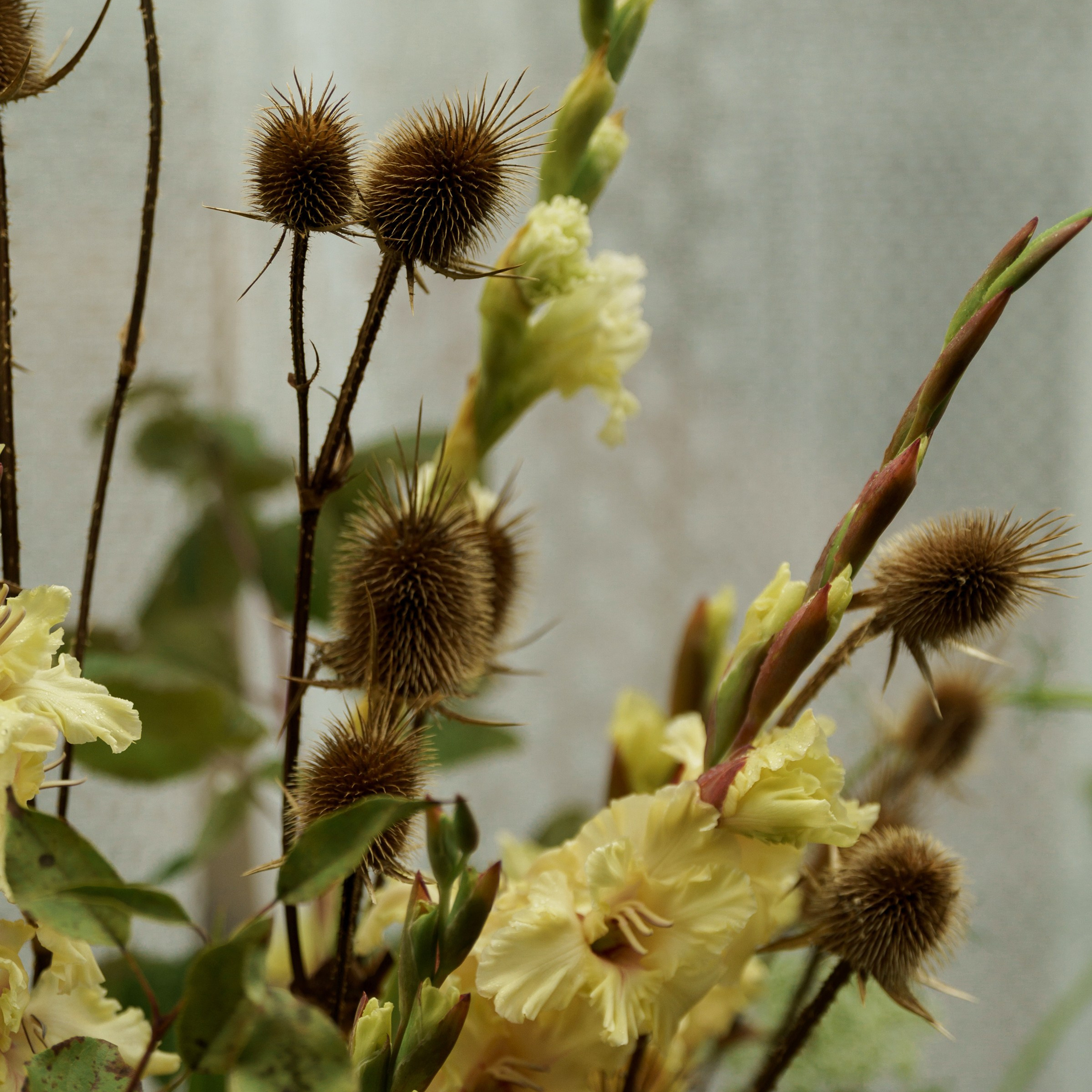 Алена и Максим Усадьба Братцево и отель Savoy. Свадебный фотограф Москва Москвовская область Санкт-Петербург