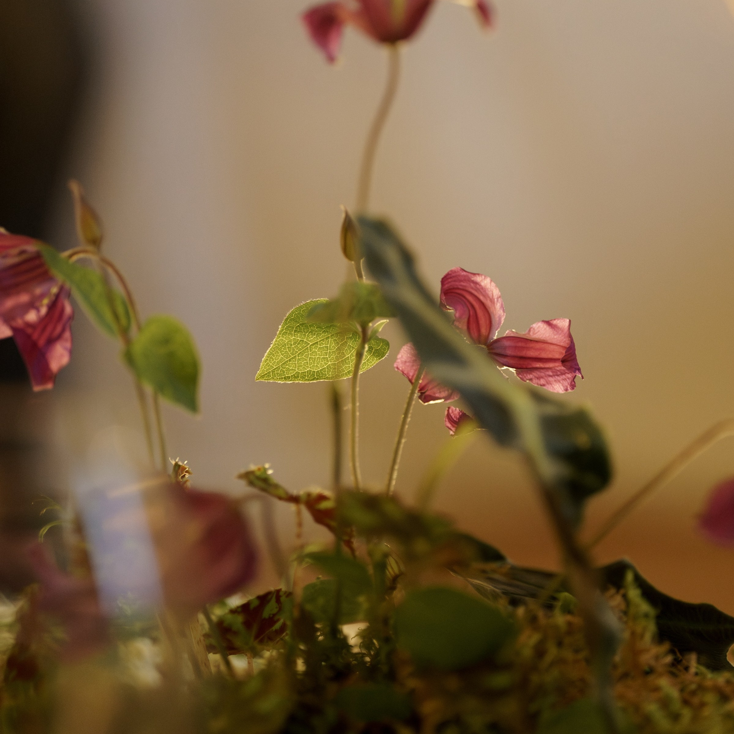 Алена и Максим Усадьба Братцево и отель Savoy. Свадебный фотограф Москва Москвовская область Санкт-Петербург