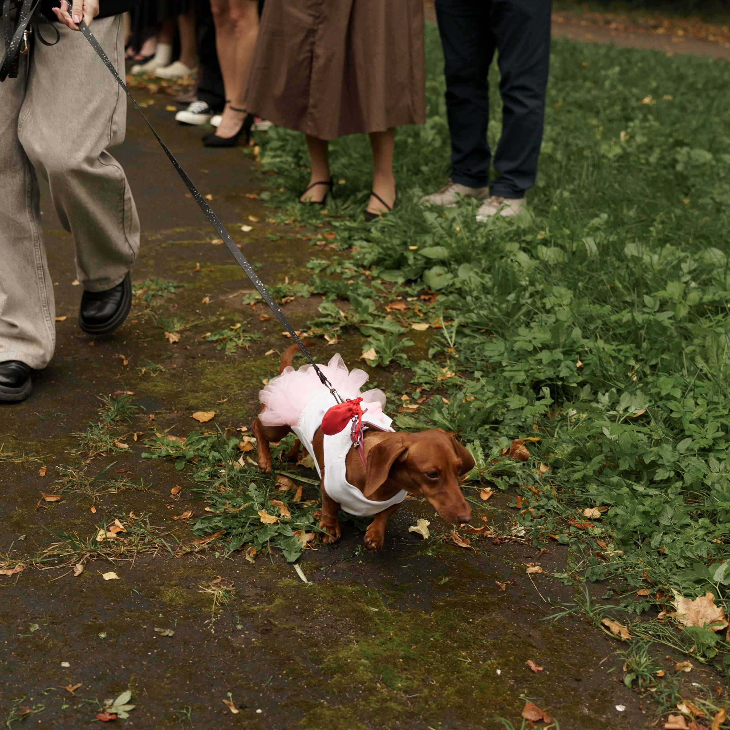 Алена и Максим Усадьба Братцево и отель Savoy. Свадебный фотограф Москва Москвовская область Санкт-Петербург