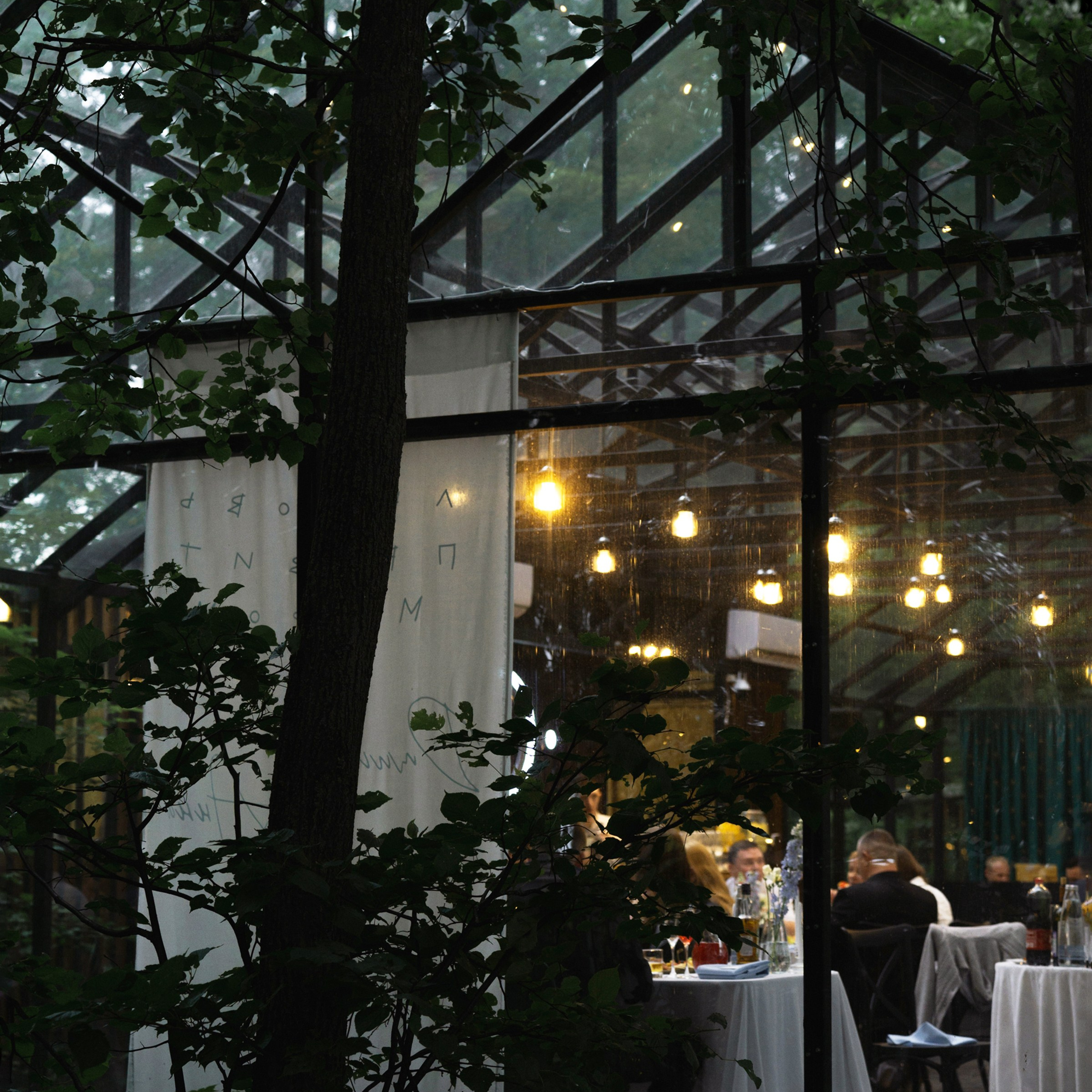 Свадьба на природе. Свадебный фотограф Москва Москвовская область Санкт-Петербург