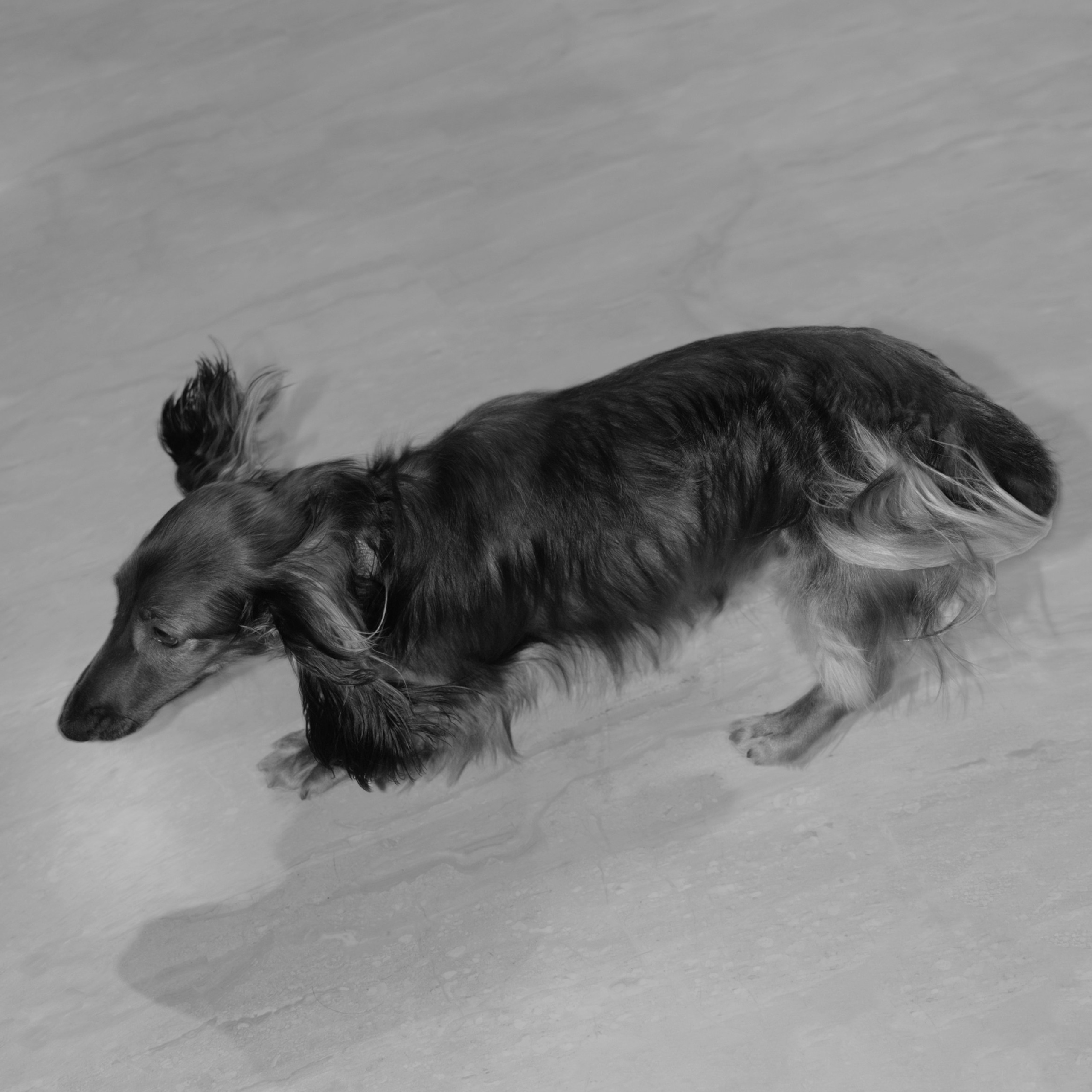 Женя и Полина утро, Барвиха и чудесный вечер. Свадебный фотограф Москва Москвовская область Санкт-Петербург