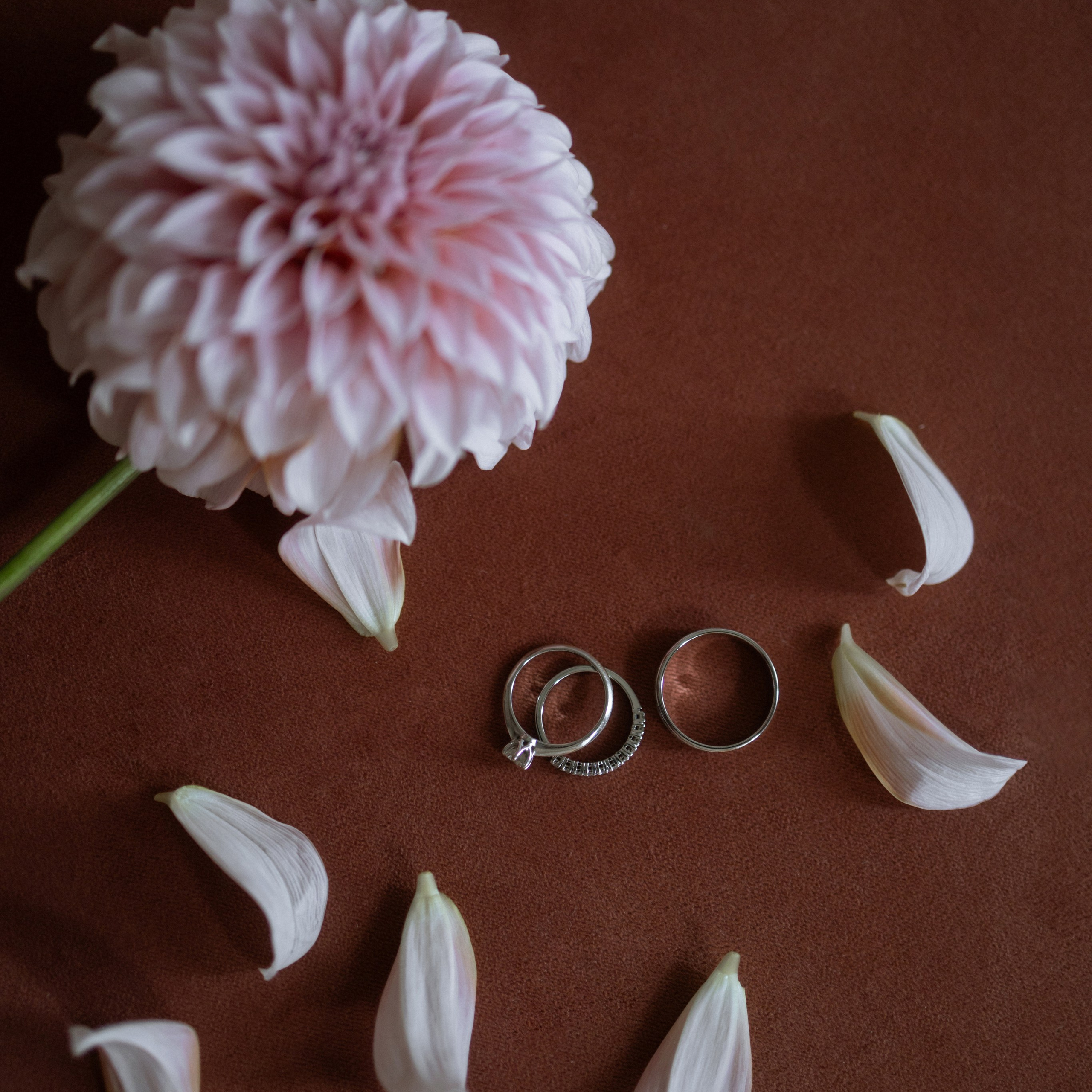 Камерная свадьба в Москве утро в отеле Рихтер регистрация в White studio Royal адреса счастья. Свадебный фотограф Москва Москвовская область Санкт-Петербург