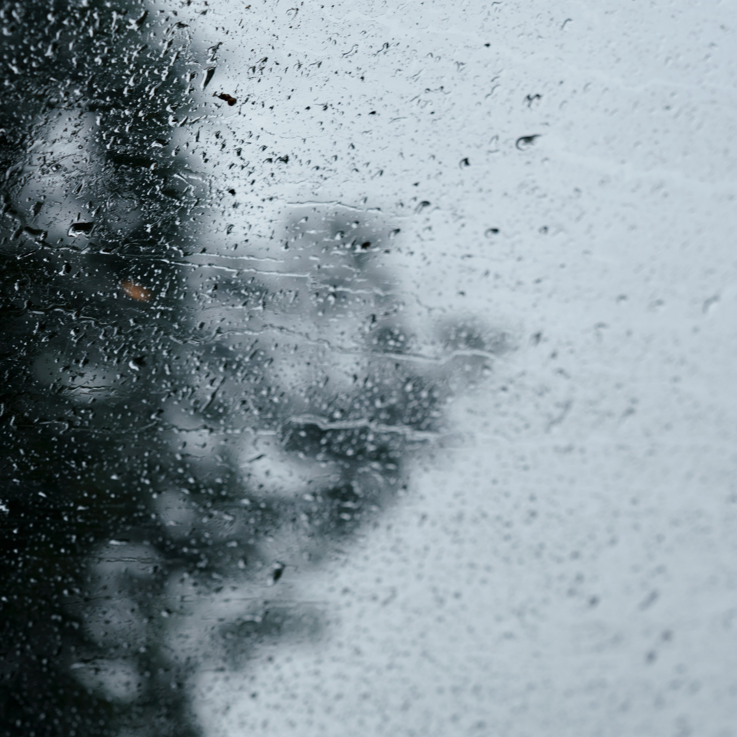 Свадьба на природе. Свадебный фотограф Москва Москвовская область Санкт-Петербург