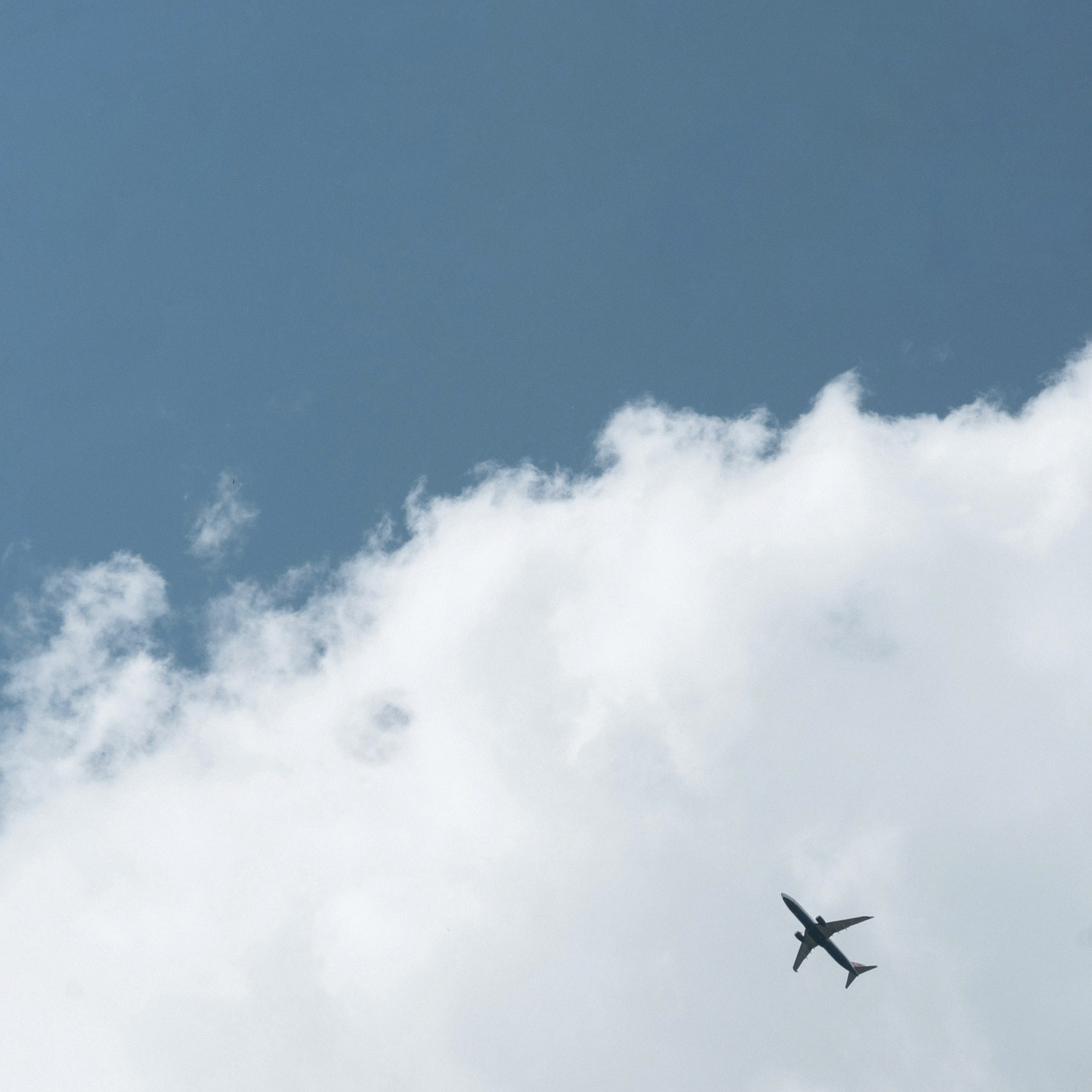 Свадебная съемка камерная с цветным дымом. Свадебный фотограф Москва Москвовская область Санкт-Петербург