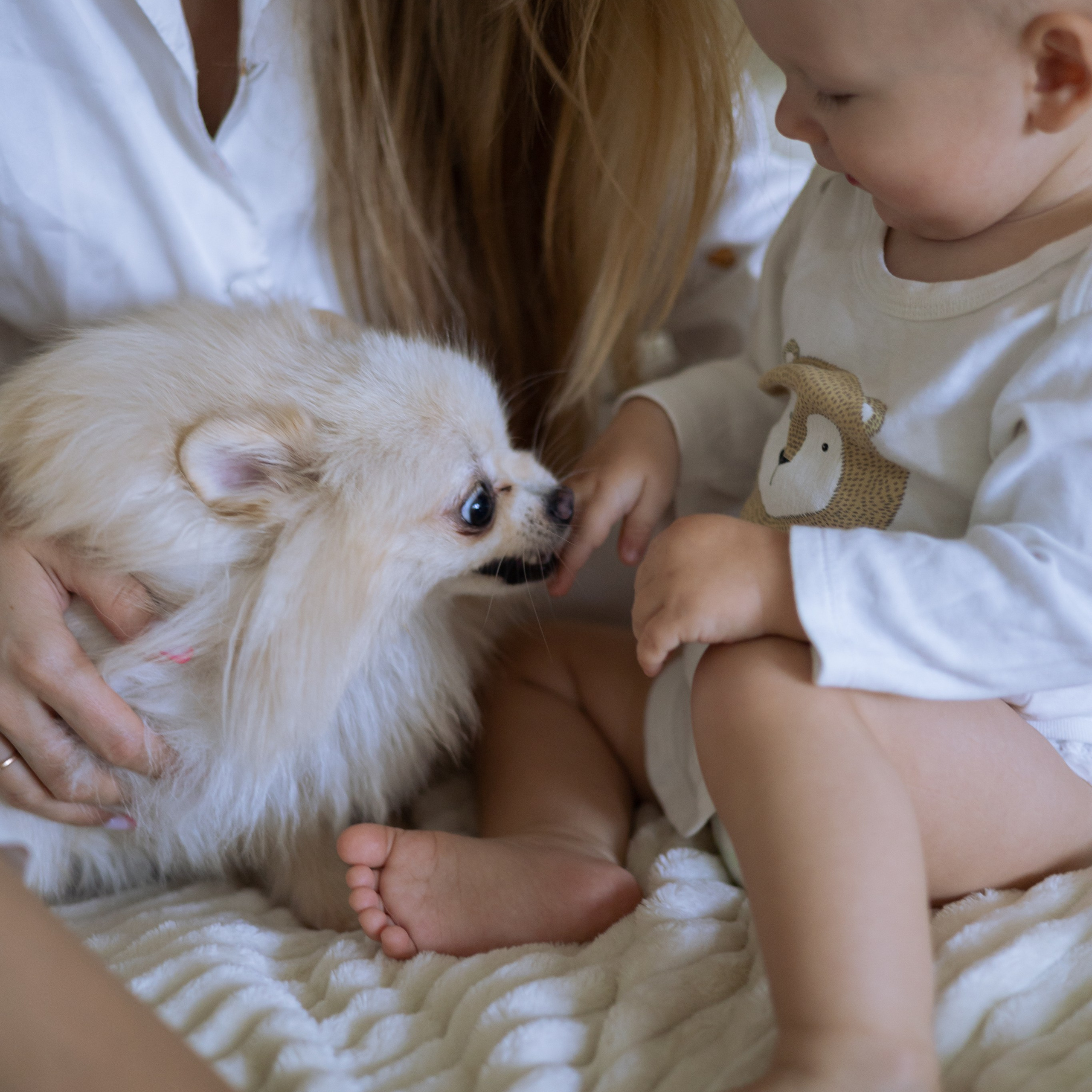 Семейная фотосессия Домашняя Москва. Свадебный фотограф Москва Москвовская область Санкт-Петербург