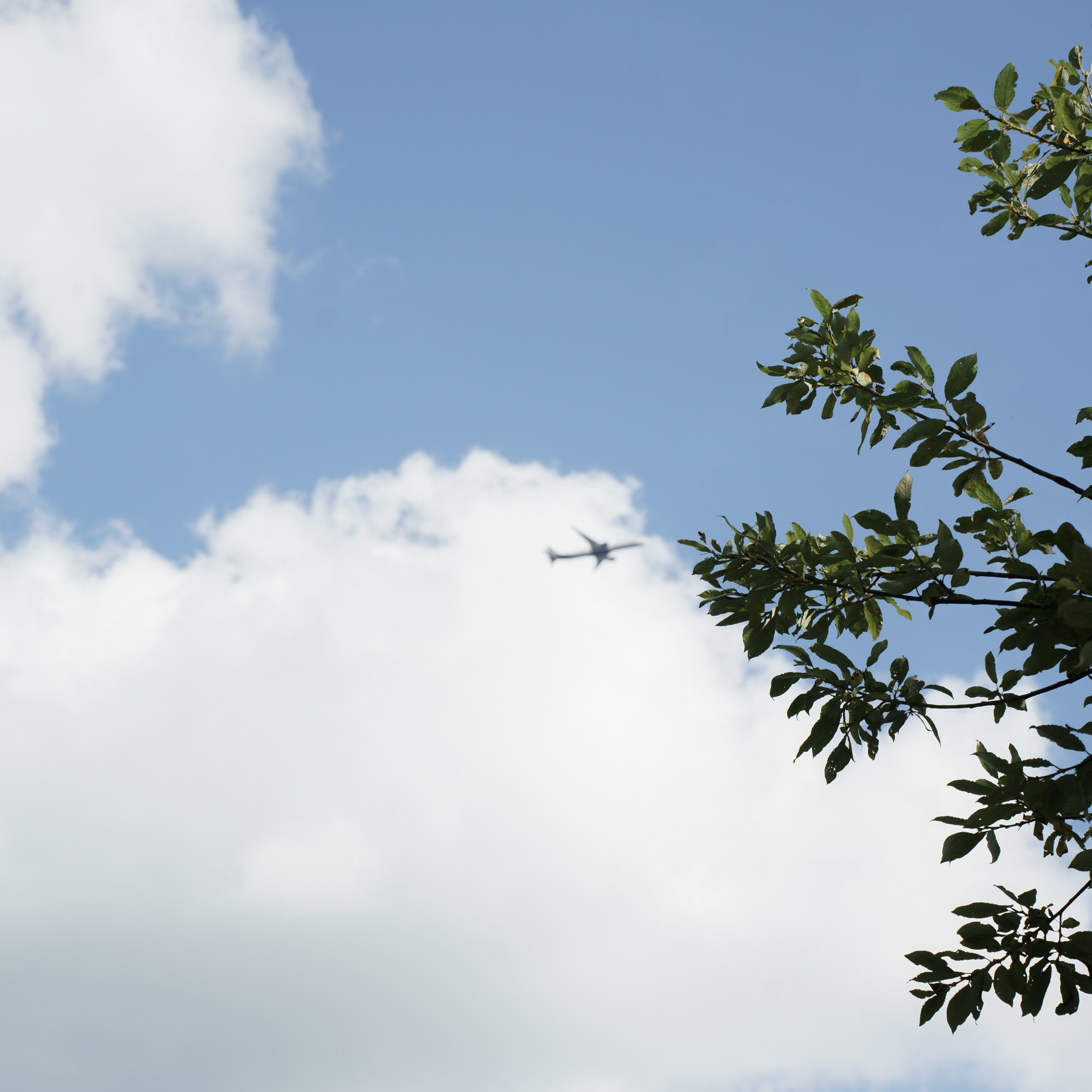 Маша и Никита усадьба Шелепаново. Свадебный фотограф Москва Москвовская область Санкт-Петербург