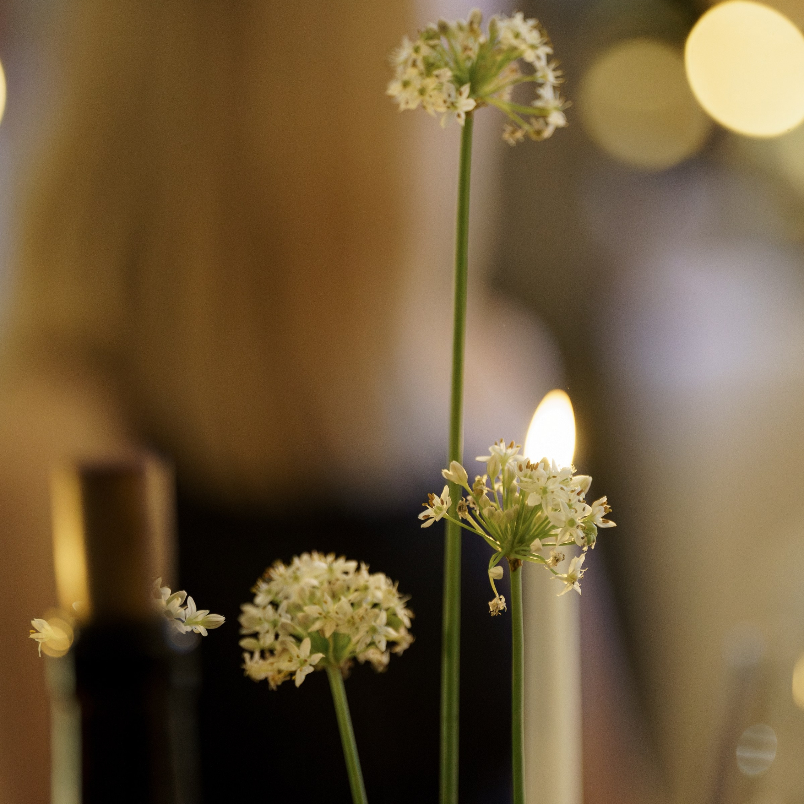 Алена и Максим Усадьба Братцево и отель Savoy. Свадебный фотограф Москва Москвовская область Санкт-Петербург